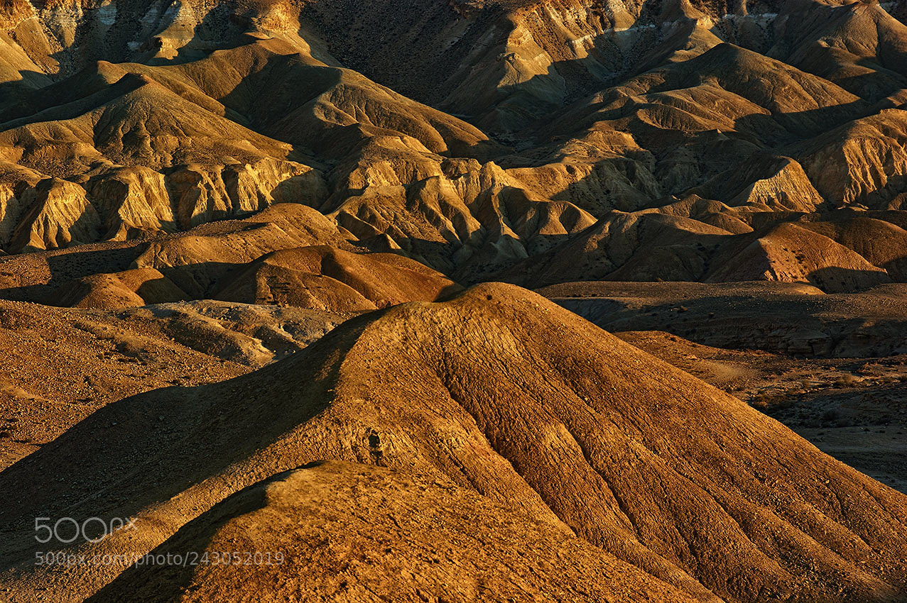 Sony Alpha DSLR-A350 sample photo. Negev desert, israel photography