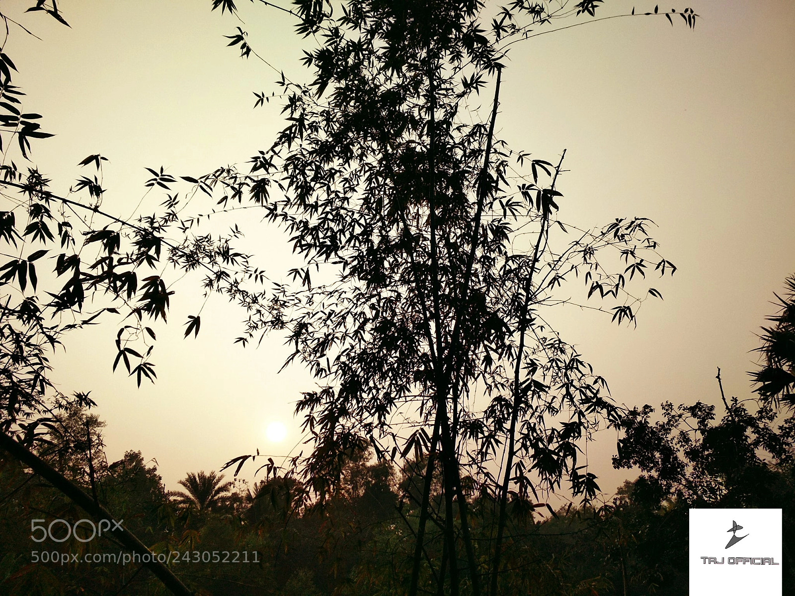 Xiaomi Redmi 4X sample photo. Untitled photography