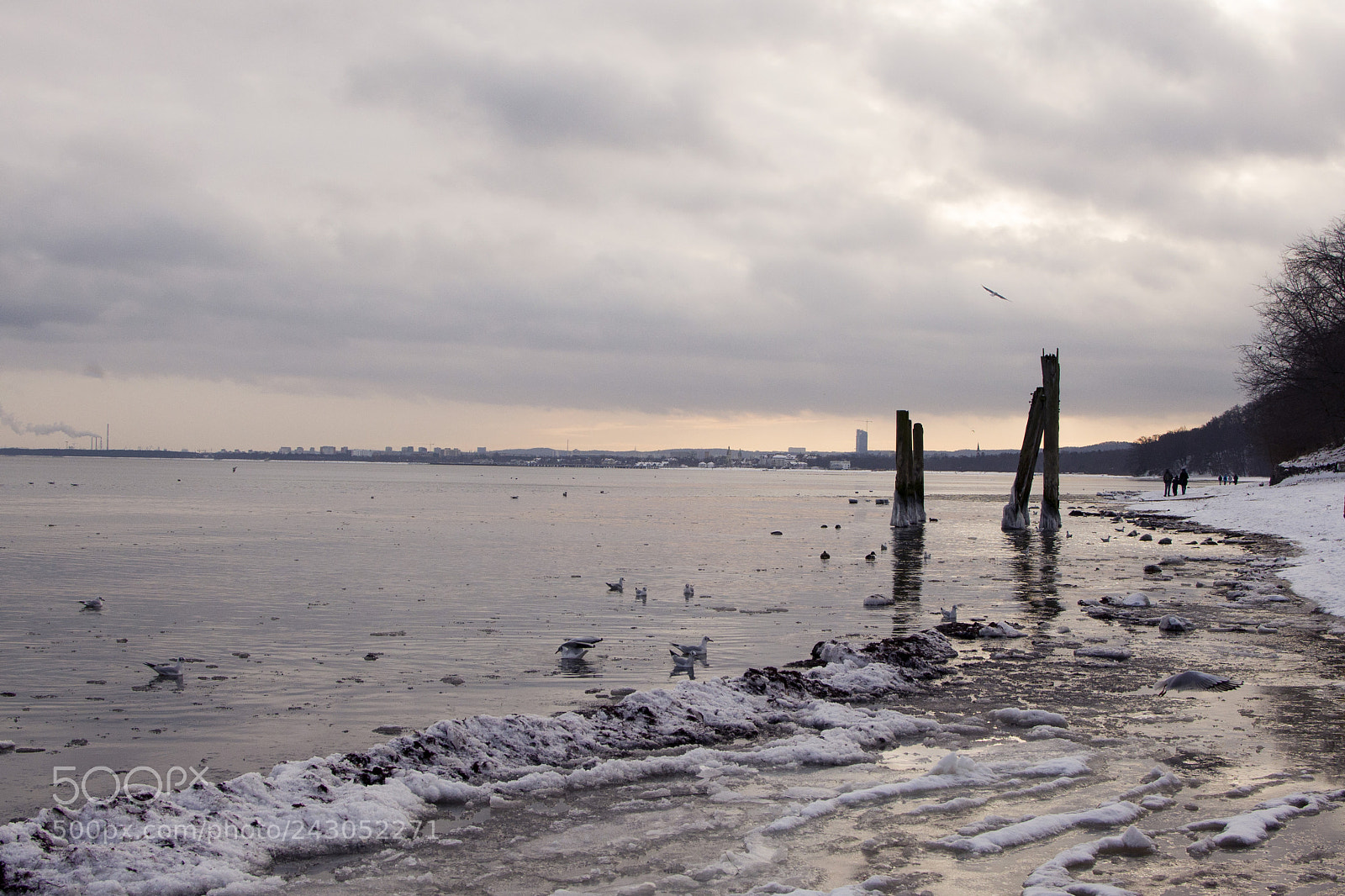 Nikon D610 sample photo. Sea photography