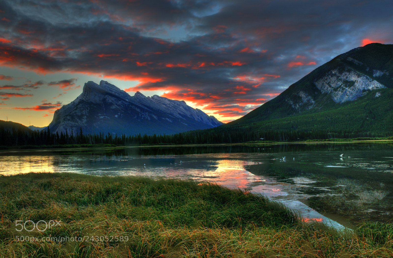 Nikon D90 sample photo. Vermilion lake, banff, canada photography
