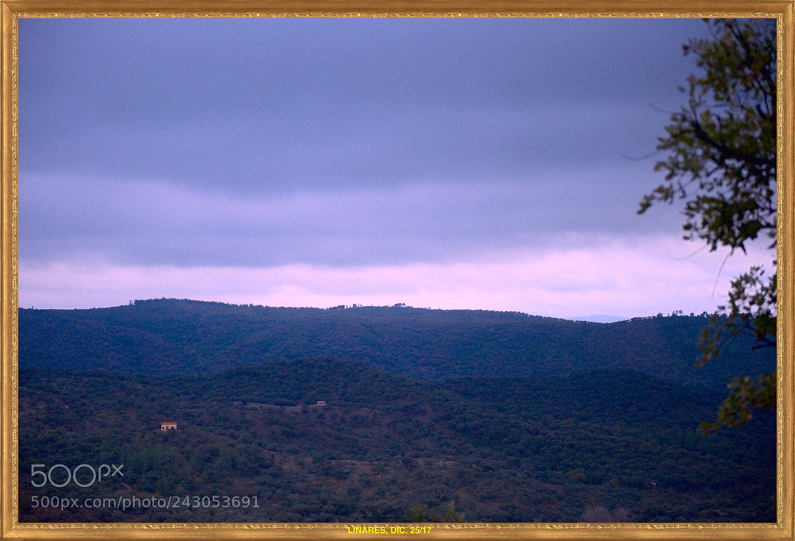 Nikon D700 sample photo. Linares de la sierra photography
