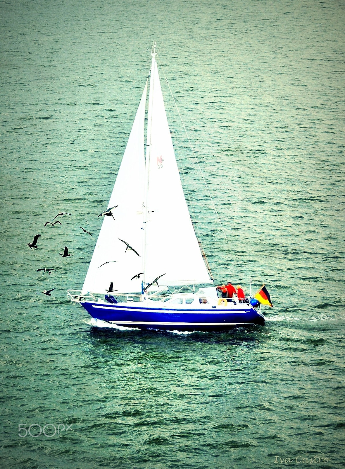 Nikon D5000 sample photo. ... (foto n° 2056) photography