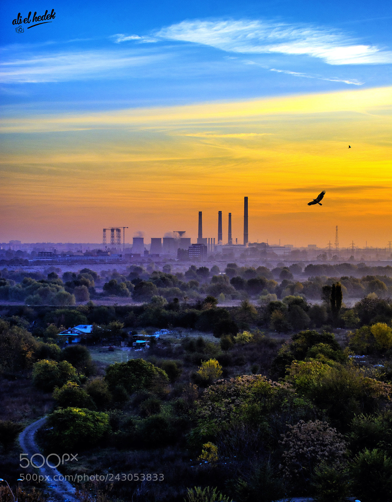 Nikon D7100 sample photo. Morning bucharest photography