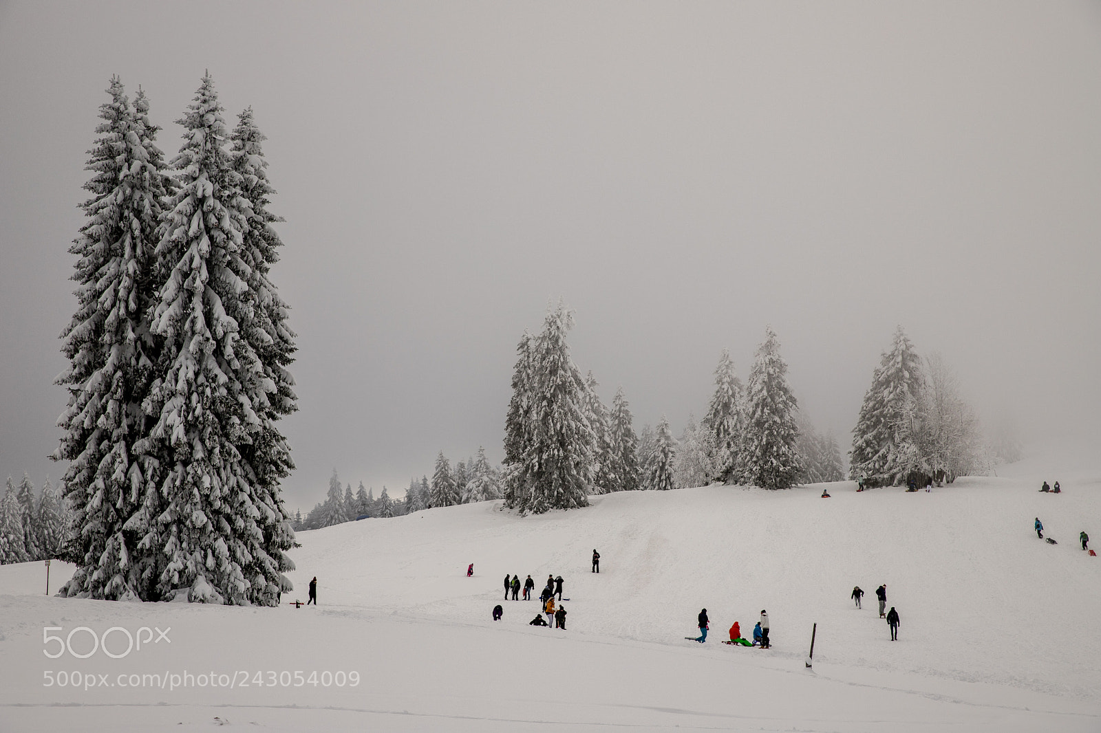 Canon EOS 6D Mark II sample photo. Spass im schnee photography