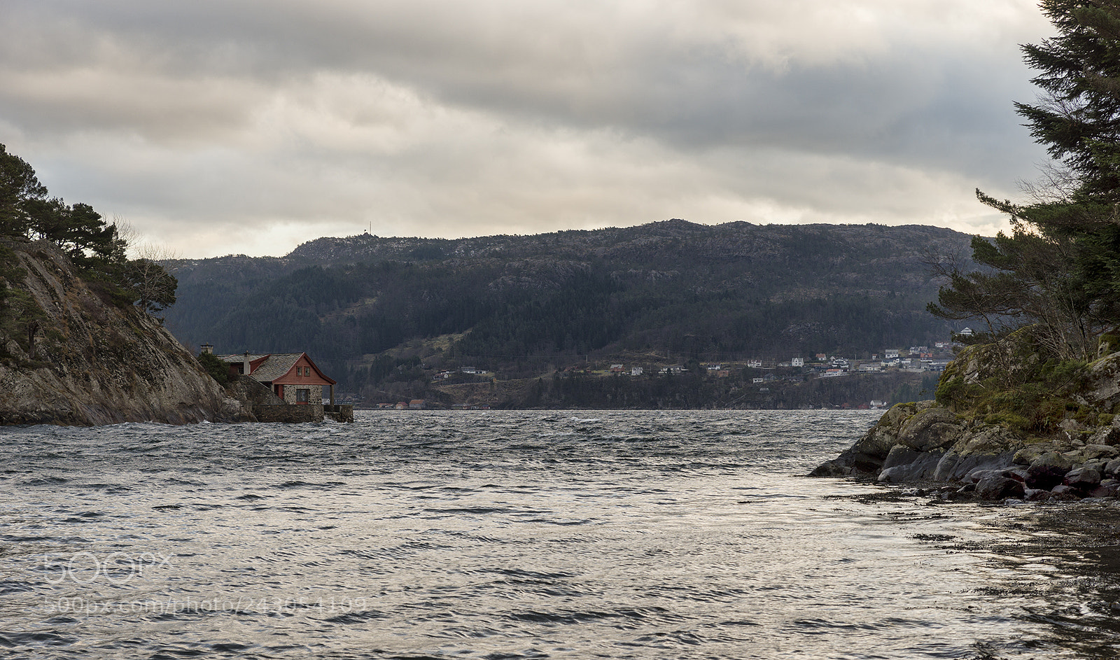 Sony SLT-A99V sample photo. ........ photography