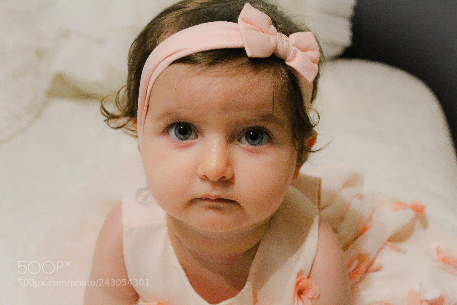 Canon EOS 1300D (EOS Rebel T6 / EOS Kiss X80) sample photo. Aryalorîn photography