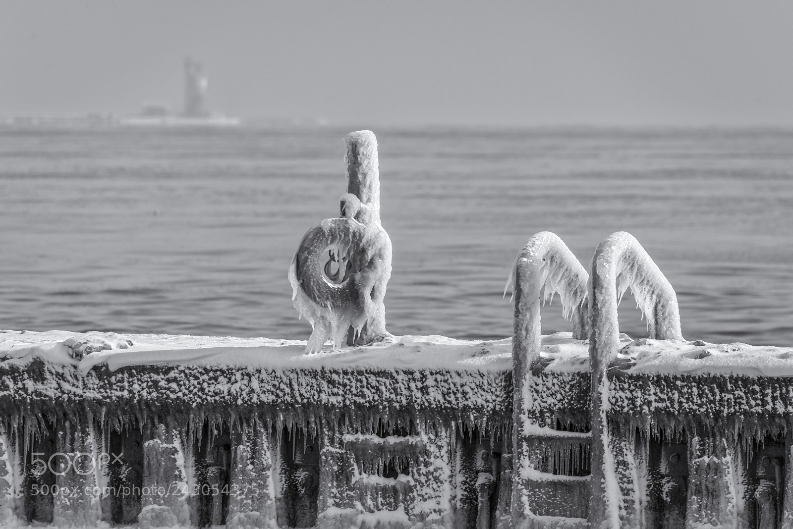 Nikon D810 sample photo. Giving winter the icy photography