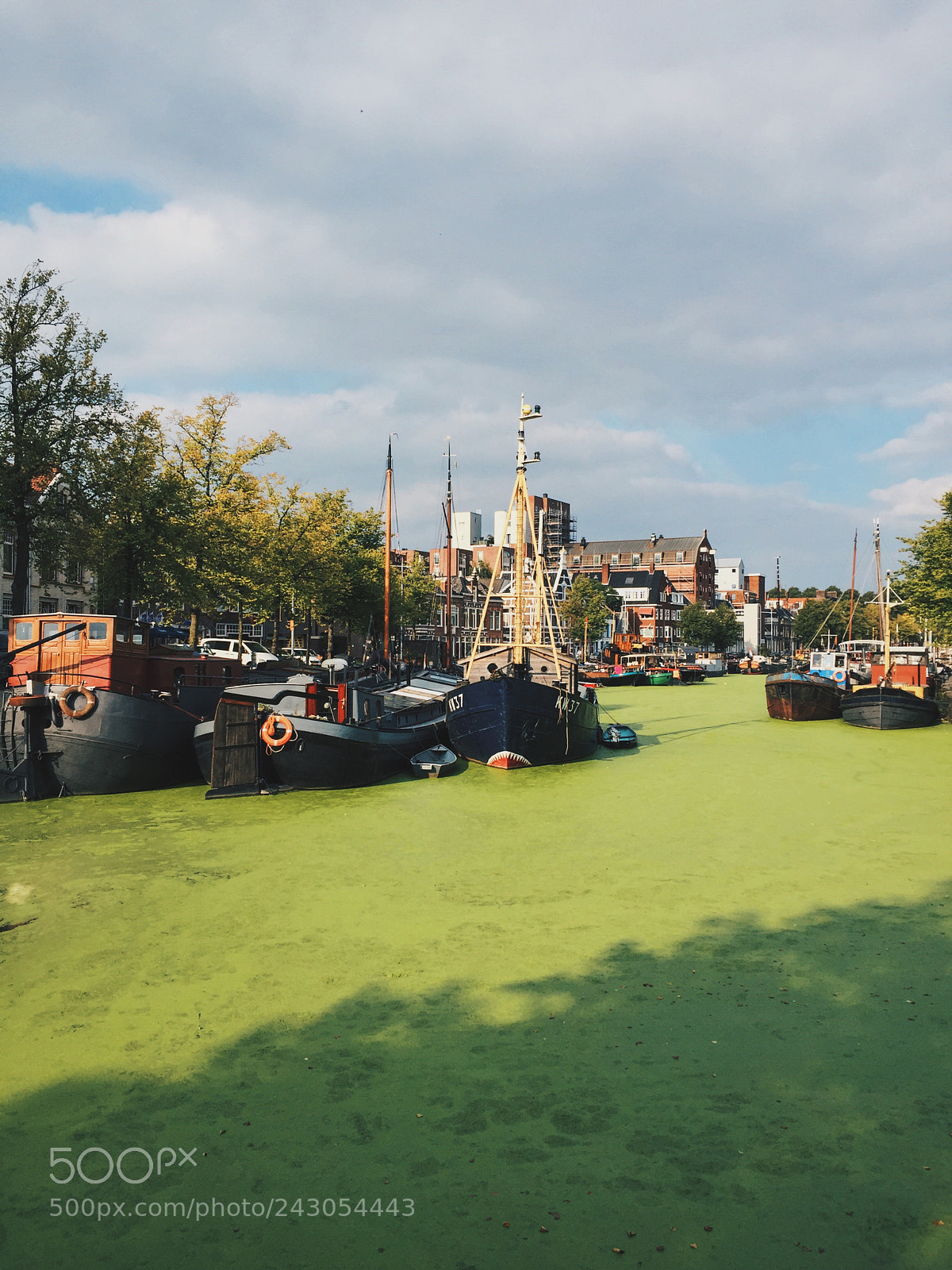 Apple iPhone 6 sample photo. Boats floating on algae photography