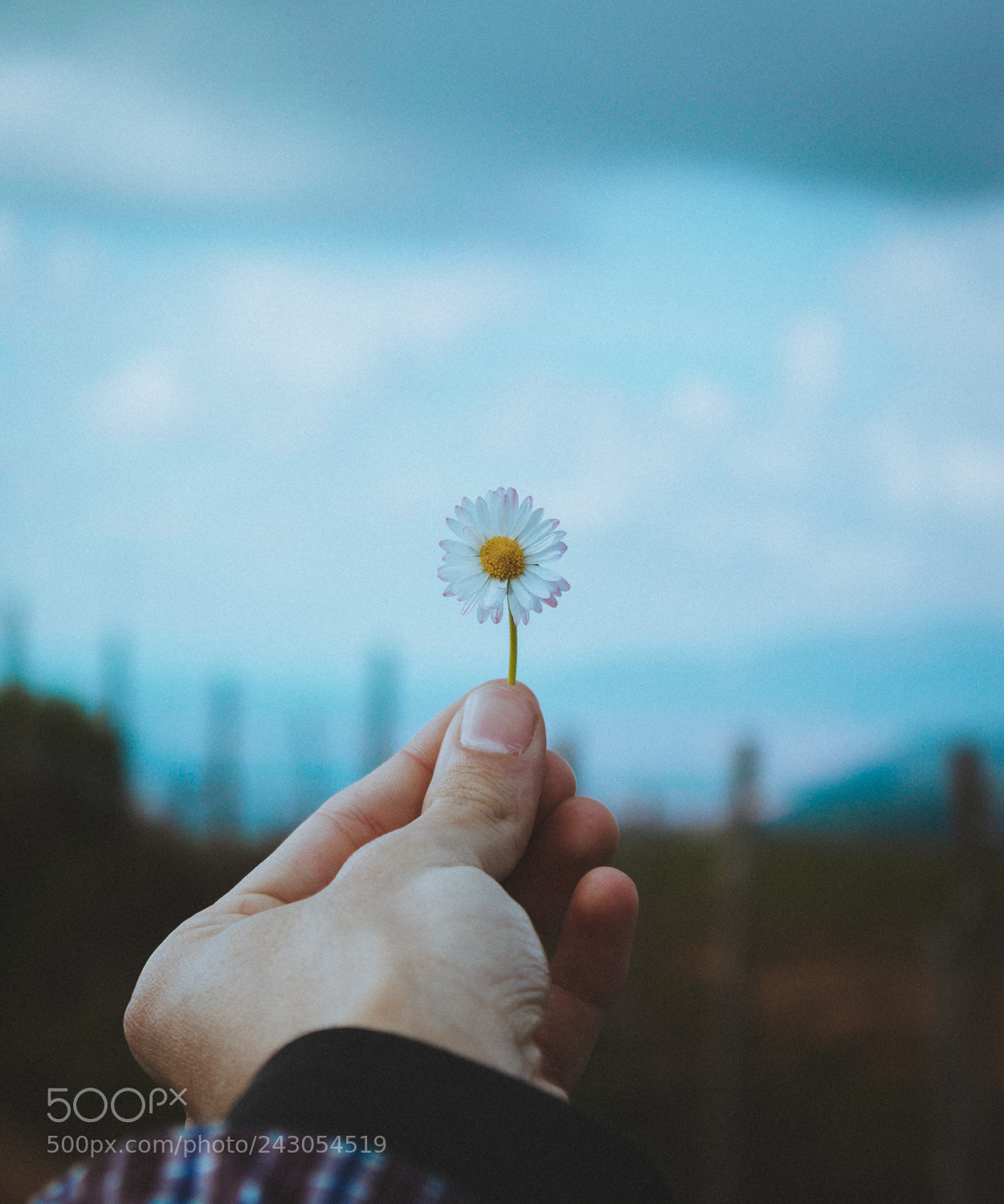 Canon EOS 77D (EOS 9000D / EOS 770D) sample photo. Simplicity photography