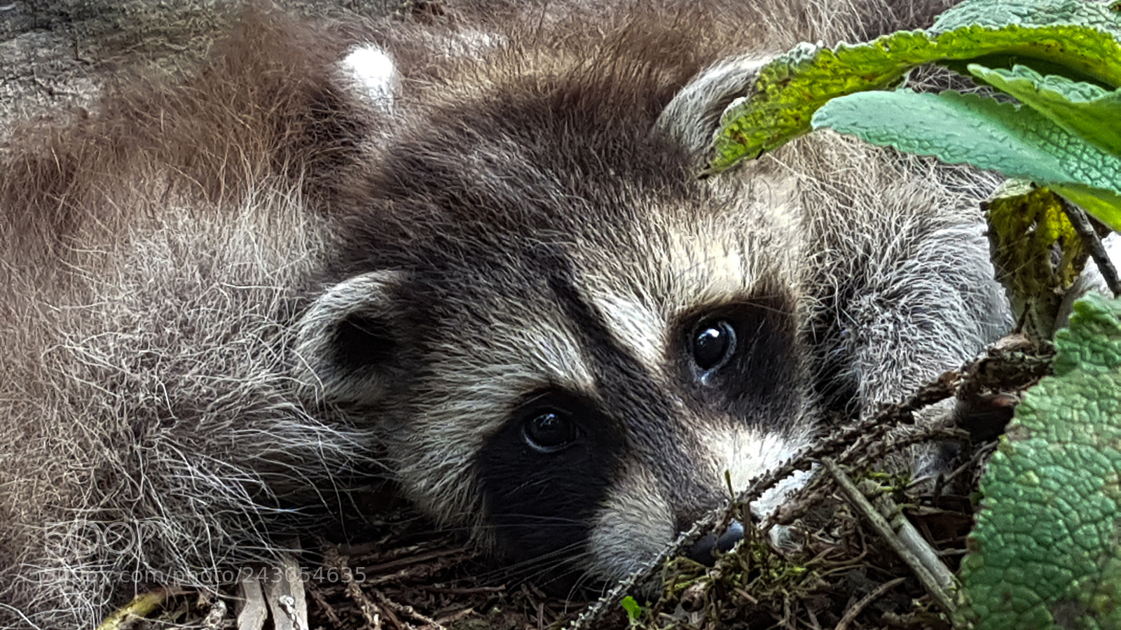 Samsung Galaxy S7 sample photo. 20170826_133912-2.jpg photography