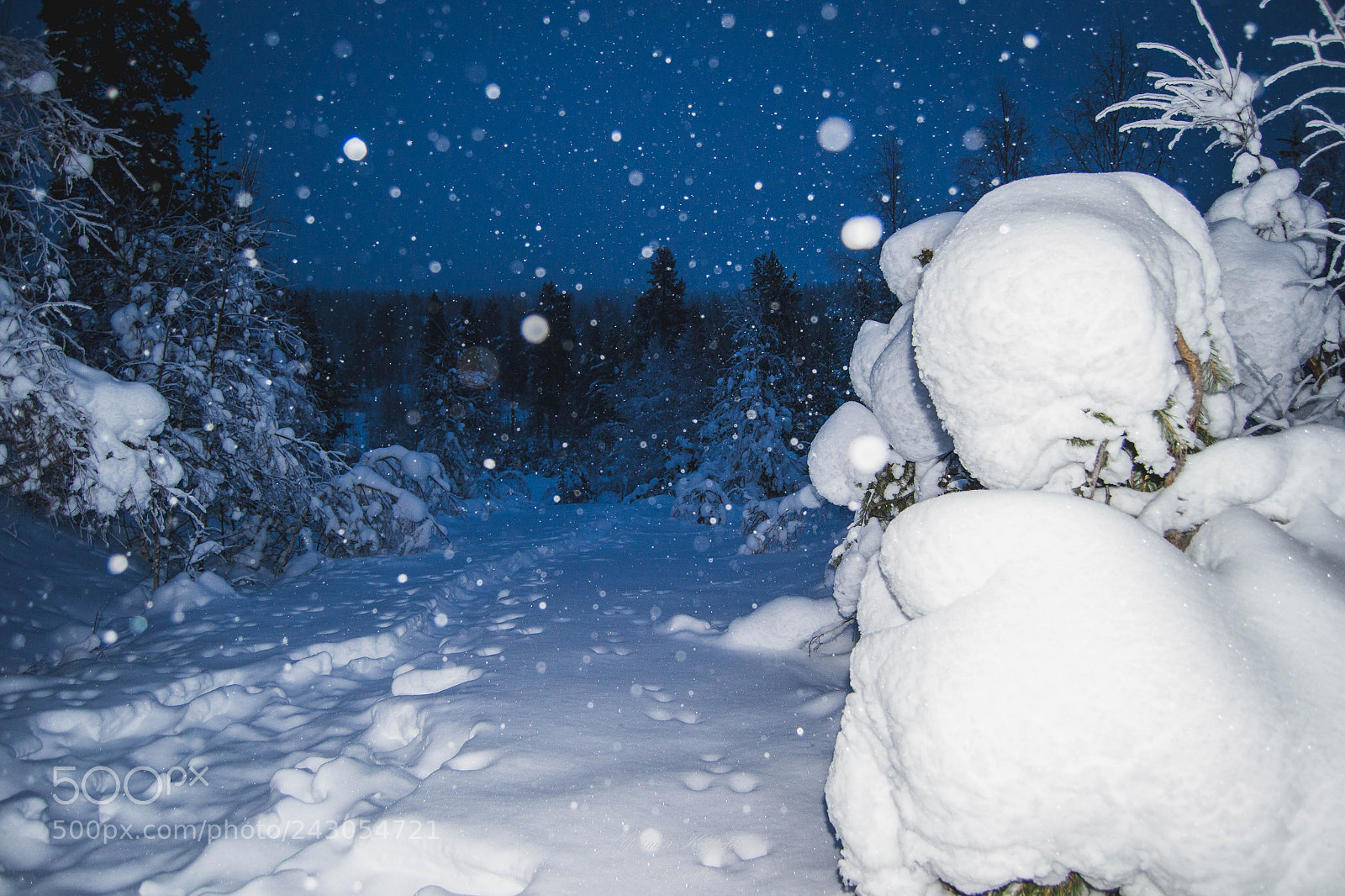 Nikon D3100 sample photo. Winter wonderland by night photography