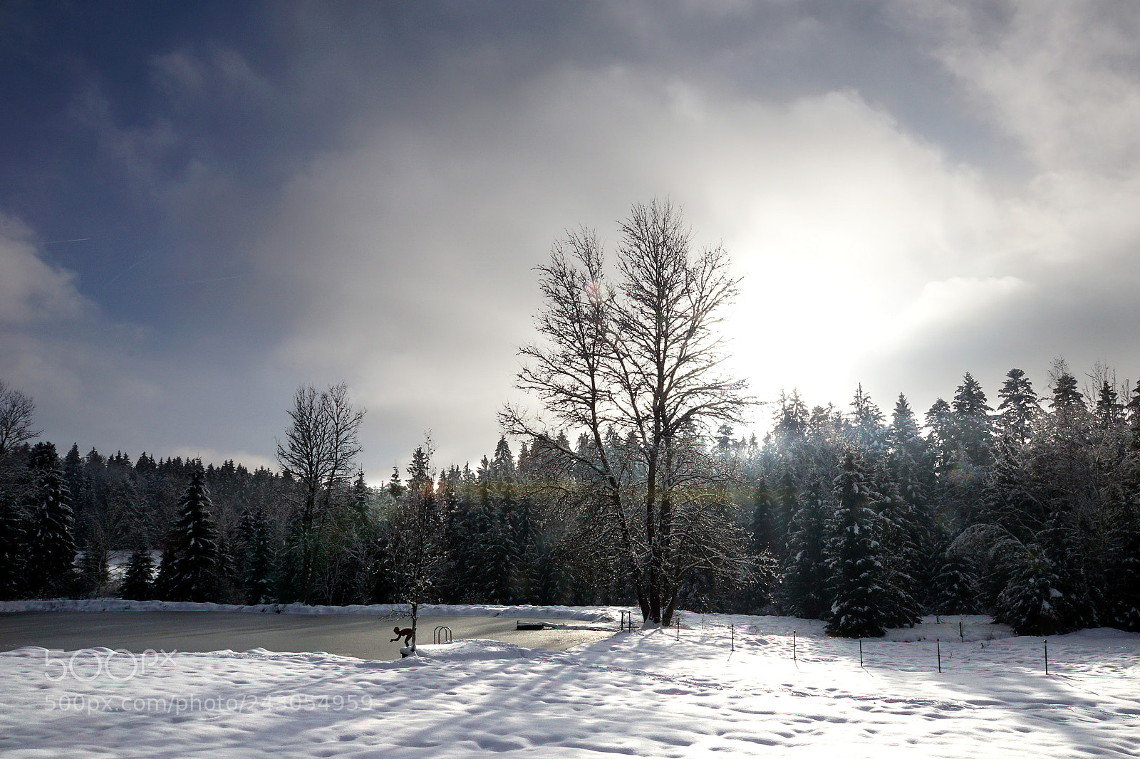 Sony ILCA-77M2 sample photo. Morning mood photography