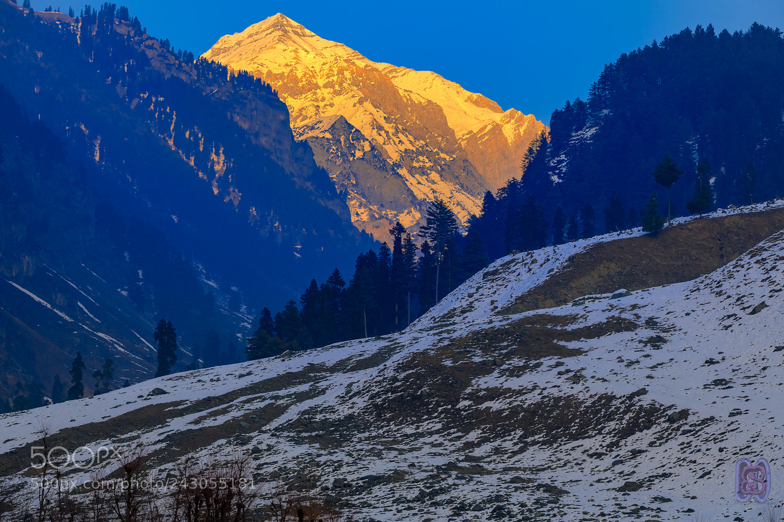 Nikon D850 sample photo. Gold and blue photography