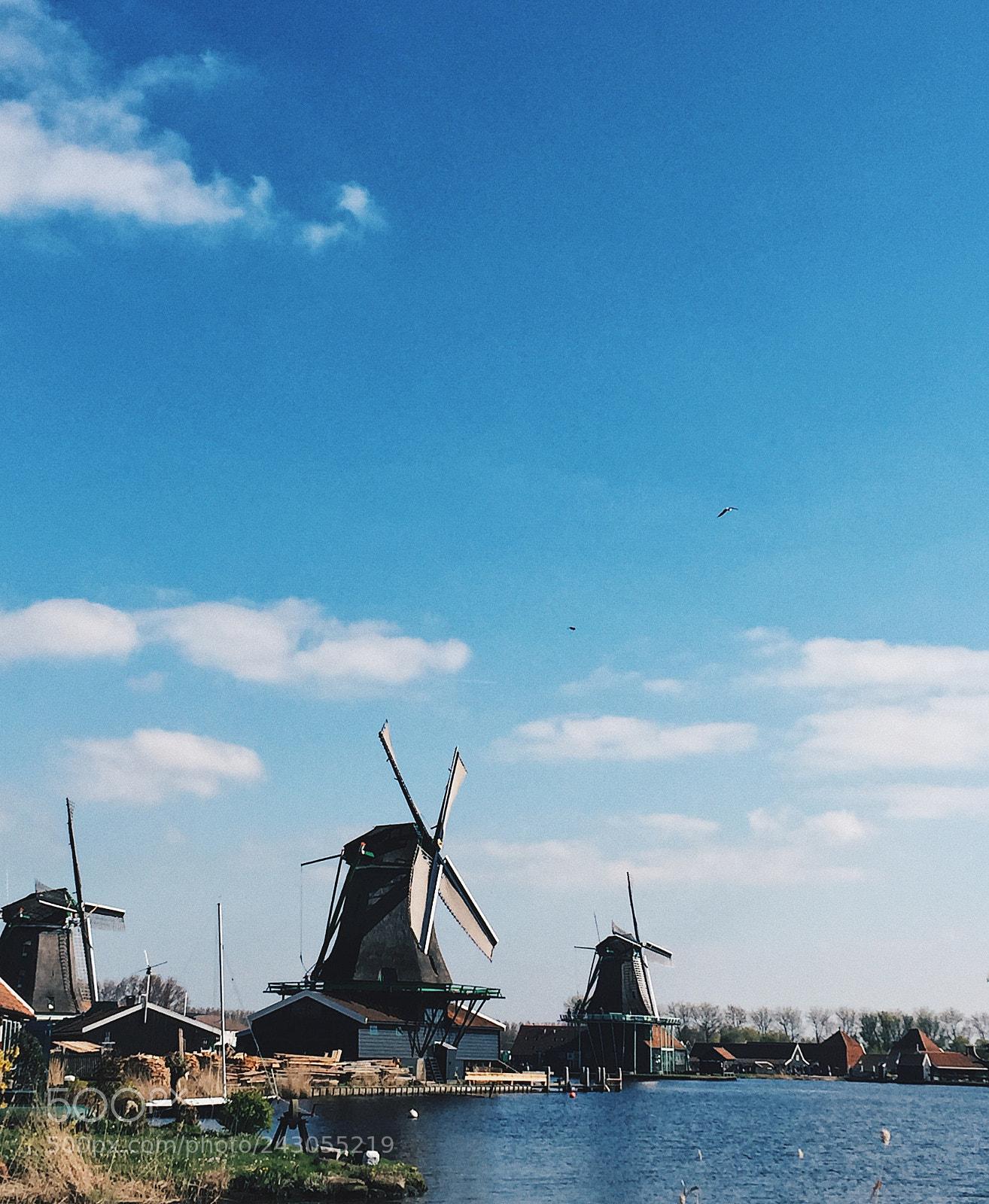 Apple iPhone 6 sample photo. Windmills photography