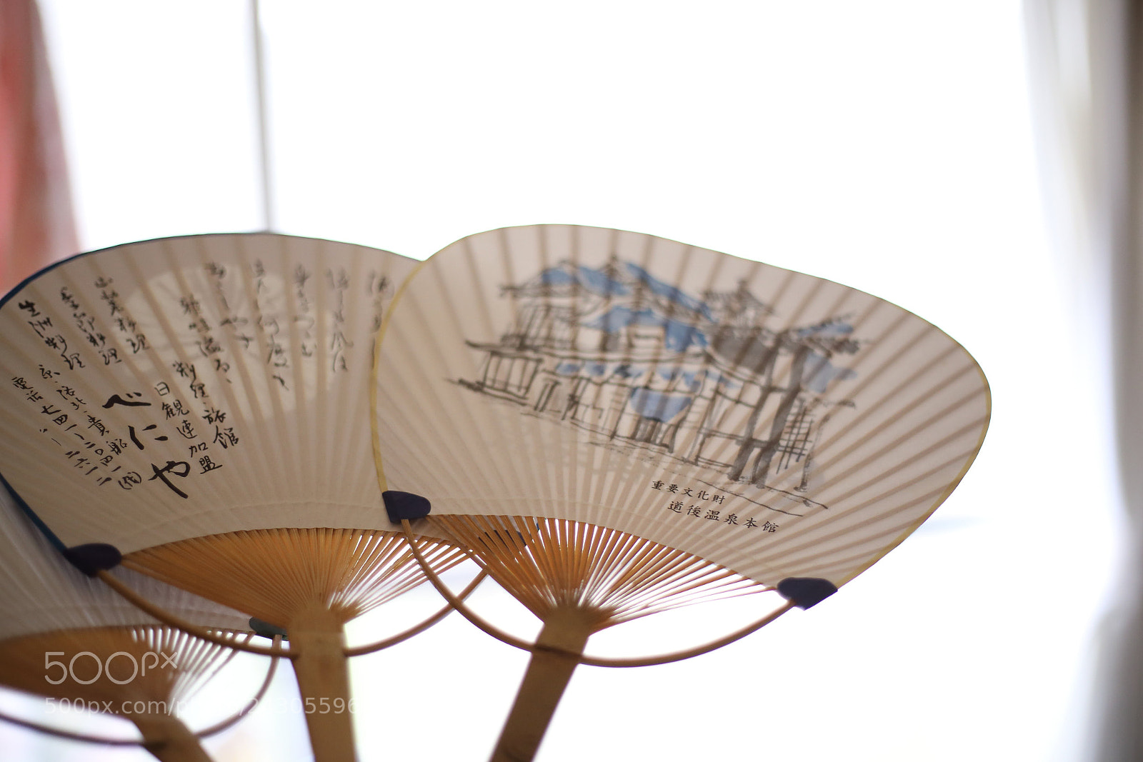 Canon EOS 6D + Canon EF 50mm F1.8 STM sample photo. Uchiwa photography