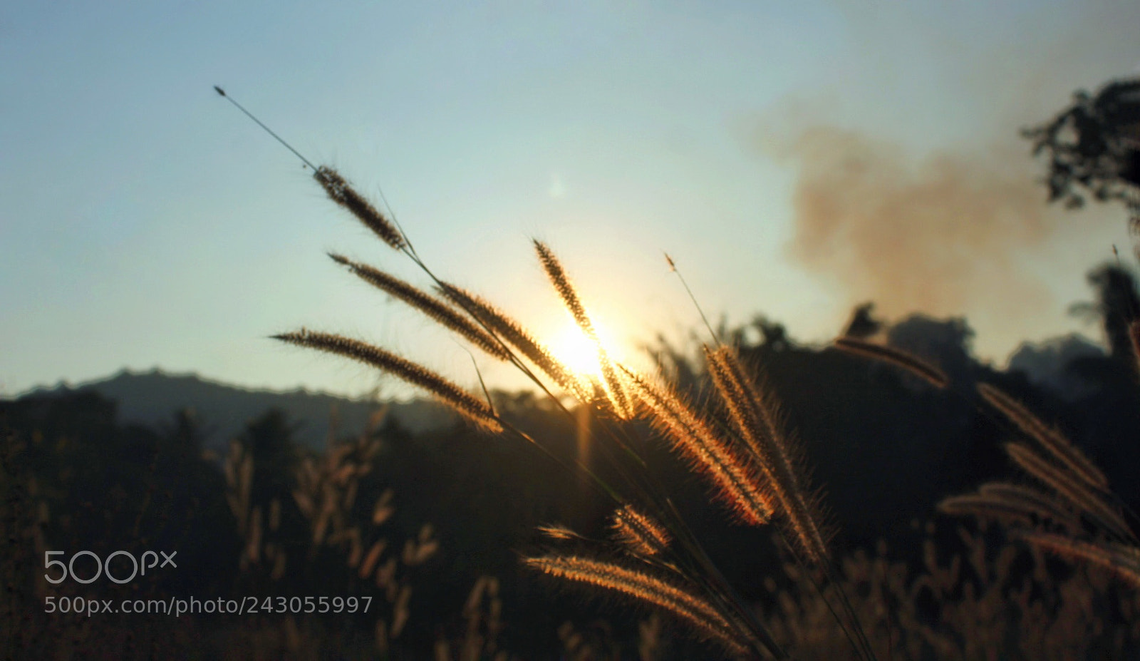 Canon EOS 1300D (EOS Rebel T6 / EOS Kiss X80) sample photo. Sunset photography