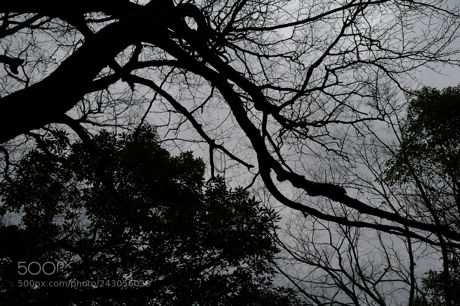 Leica Q (Typ 116) sample photo. The shape of a photography