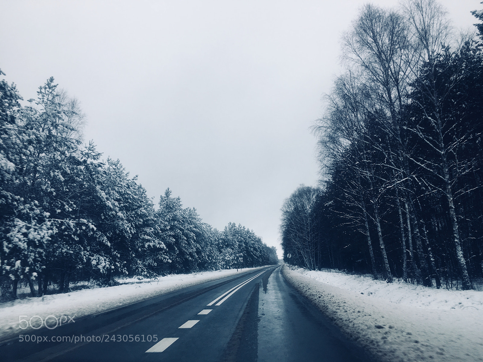 Apple iPhone 6s sample photo. ❄️❄️ photography