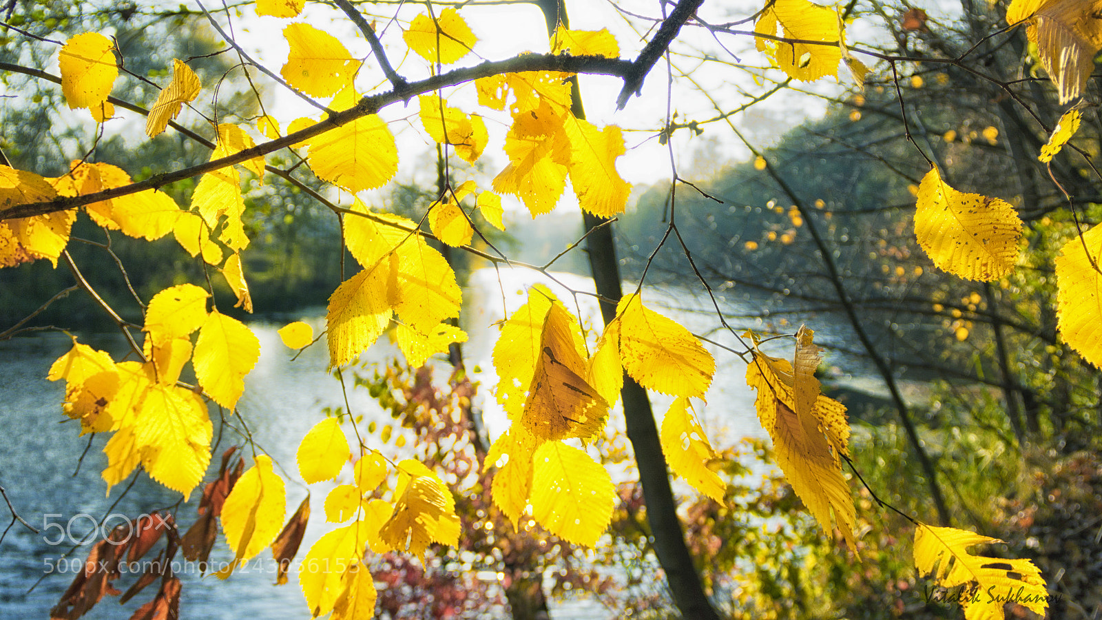 Canon EOS 1200D (EOS Rebel T5 / EOS Kiss X70 / EOS Hi) sample photo. Autumn on the river photography