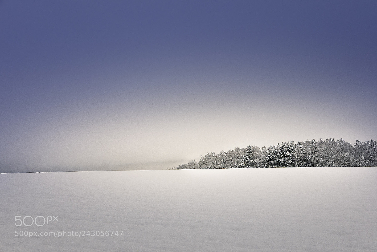 Leica D-Lux (Typ 109) sample photo. Winter sunrise photography