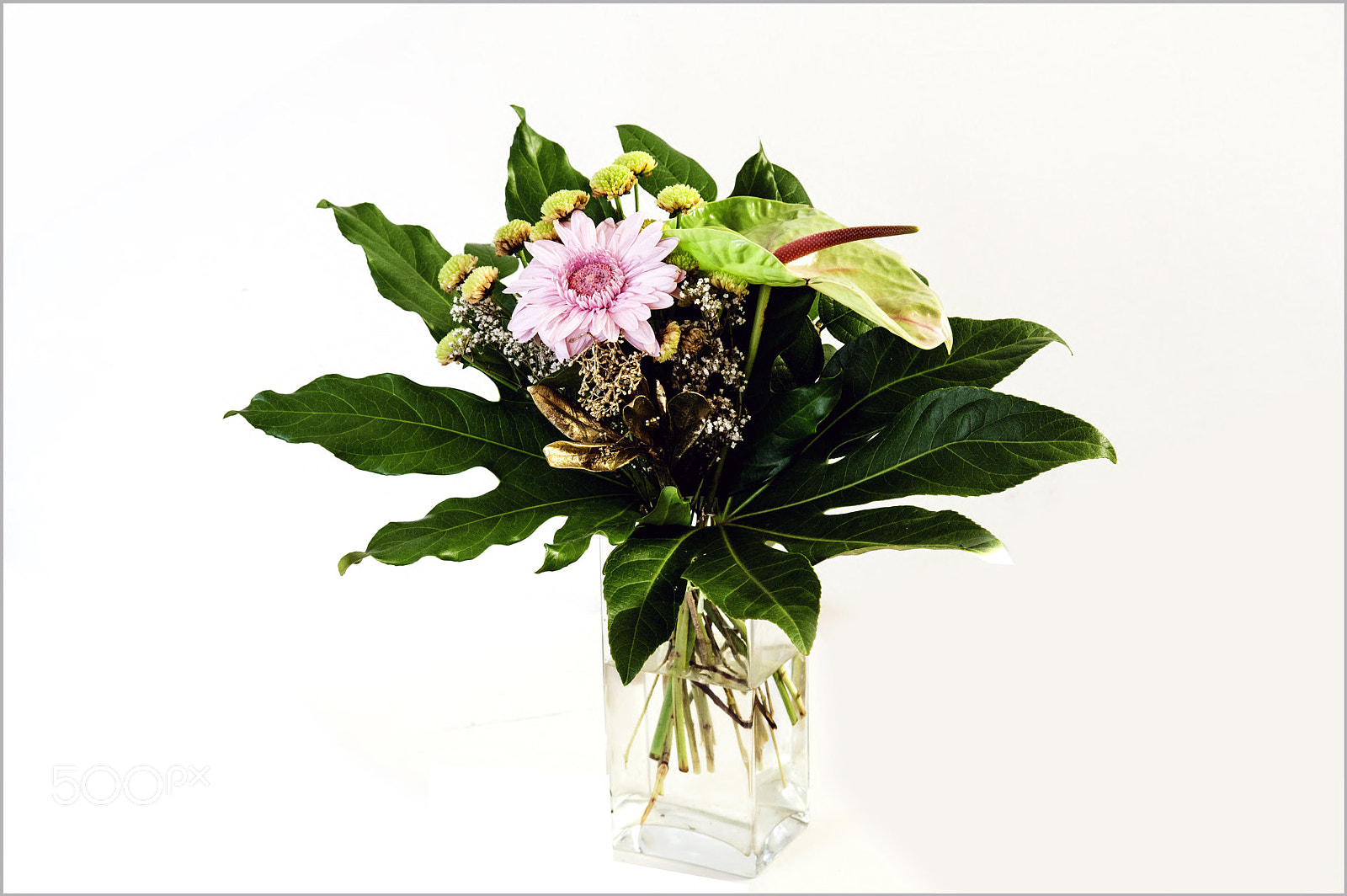 Nikon D700 sample photo. *** photography
