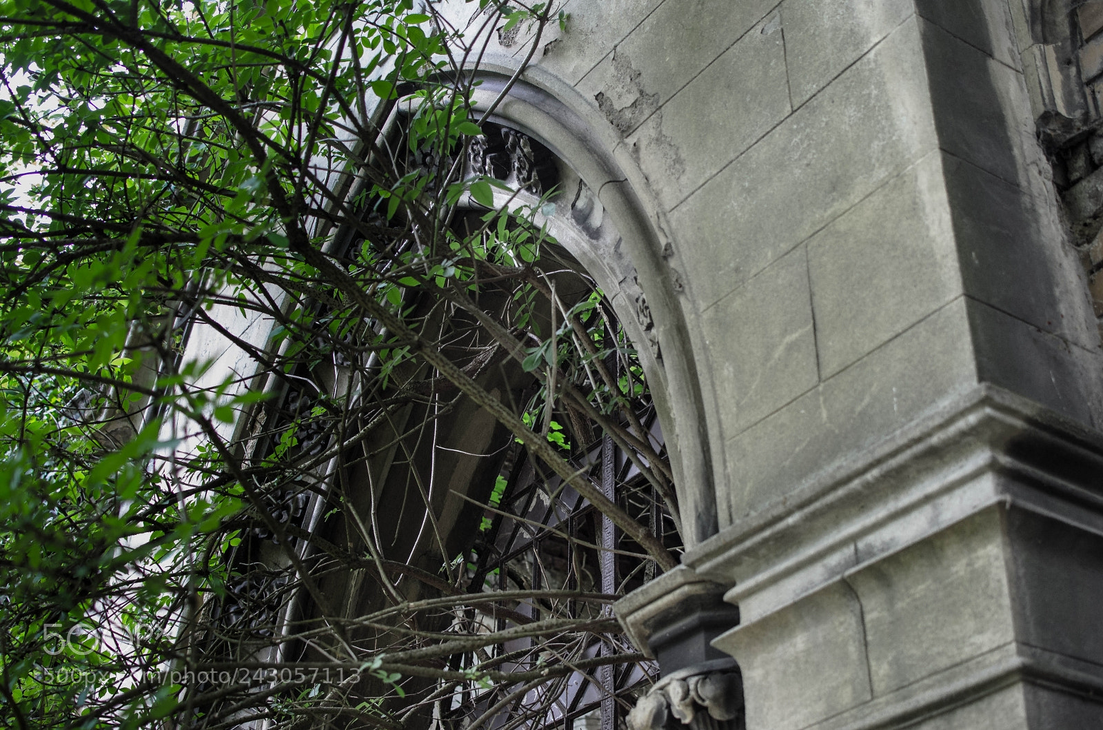 Nikon D5100 sample photo. Untitled photography