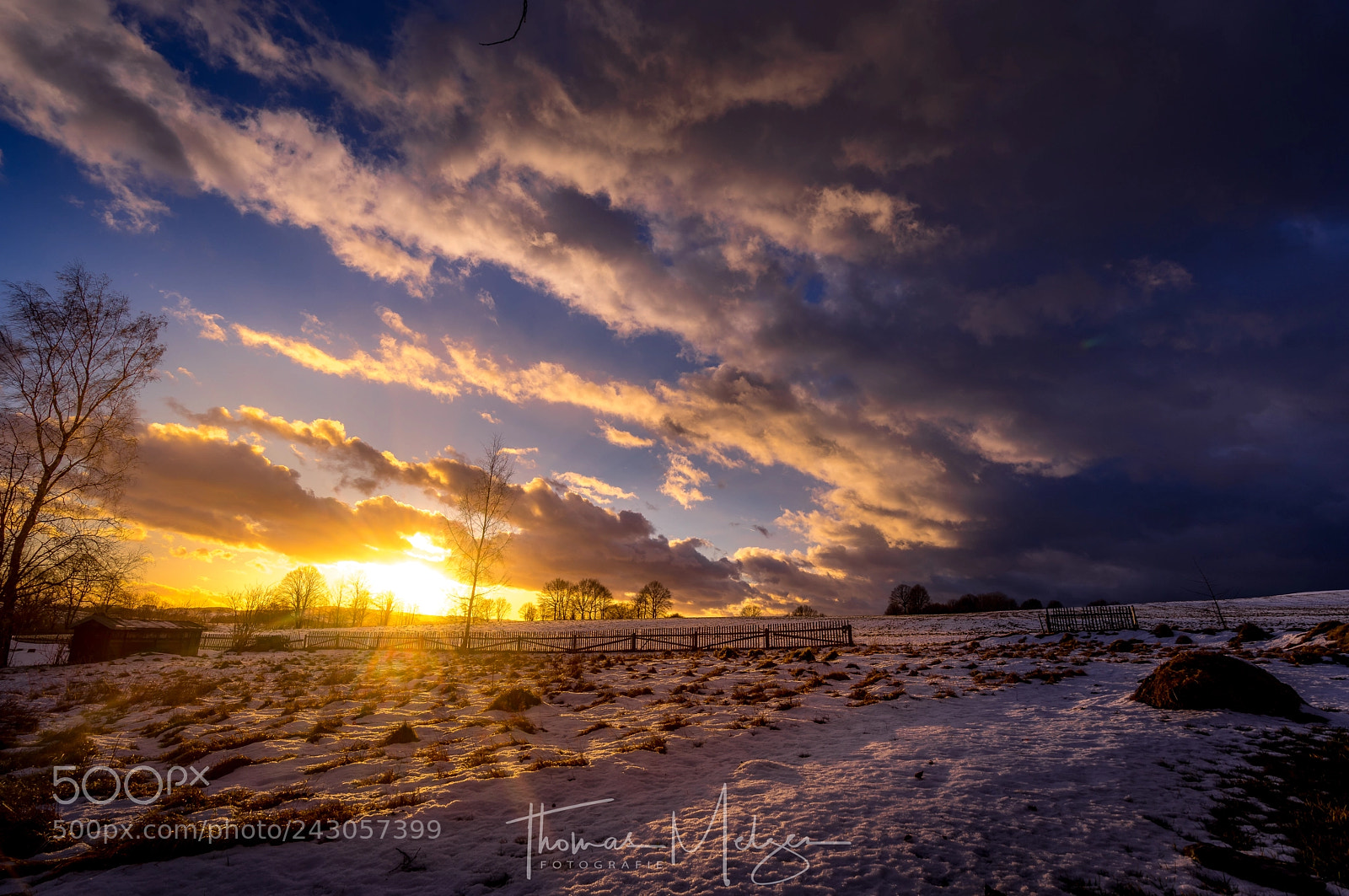 Sony a7R sample photo. Friederike photography