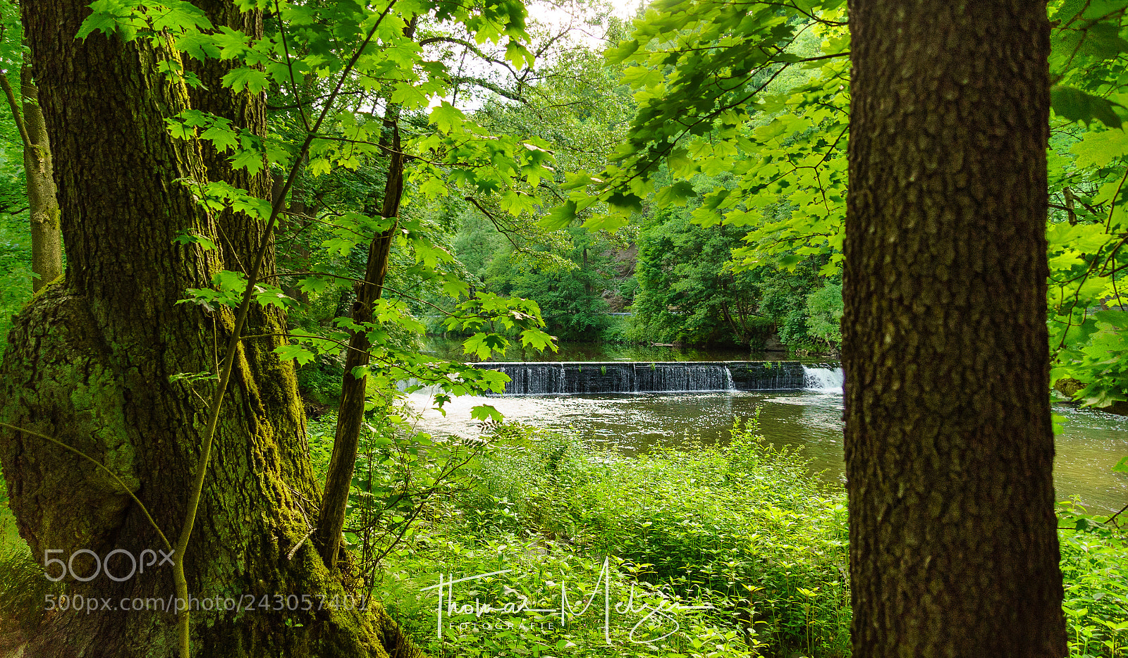 Sony a7S sample photo. River zschopau photography
