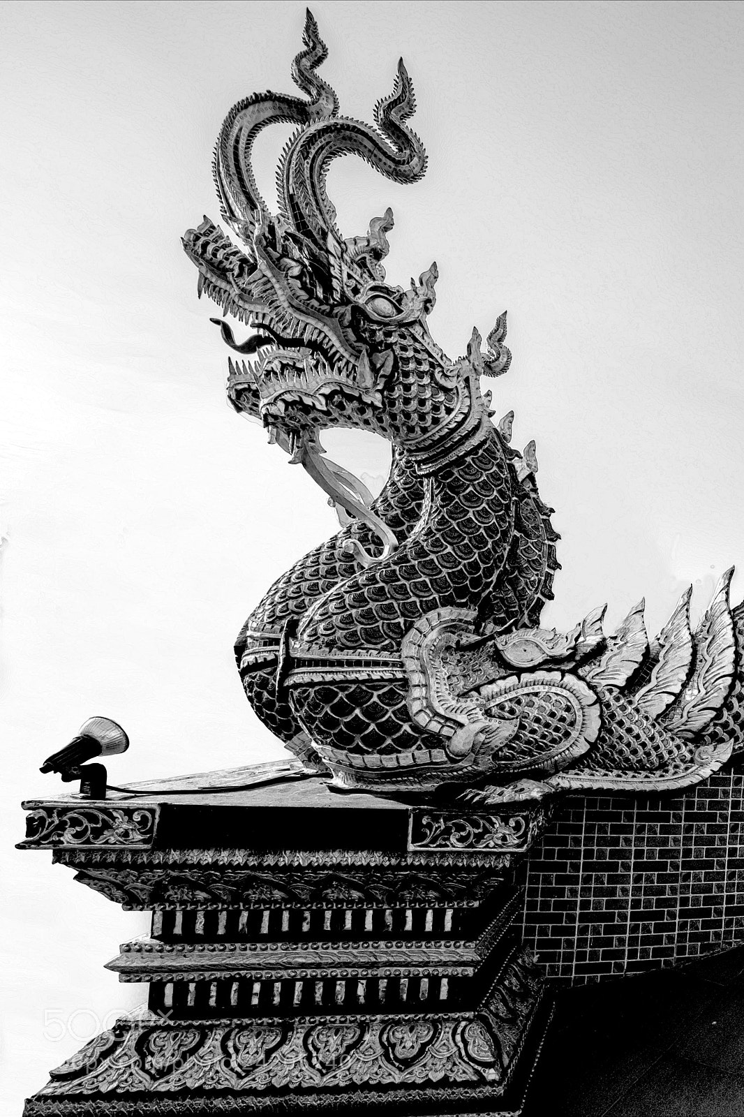 Nikon D850 sample photo. Dragon noir photography