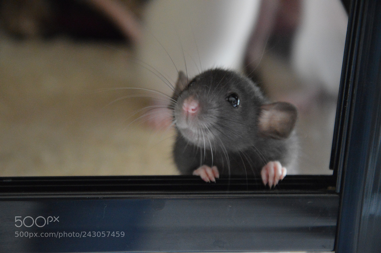 Nikon D3200 sample photo. Untitled photography