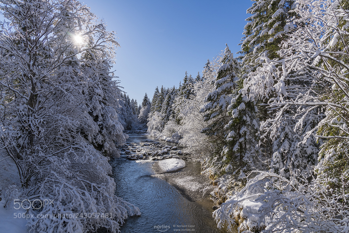 Nikon D850 sample photo. Winterwonderland photography