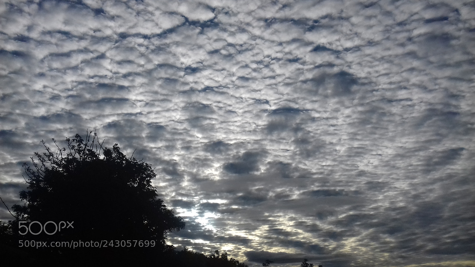 Samsung Galaxy Grand Prime sample photo. Untitled photography