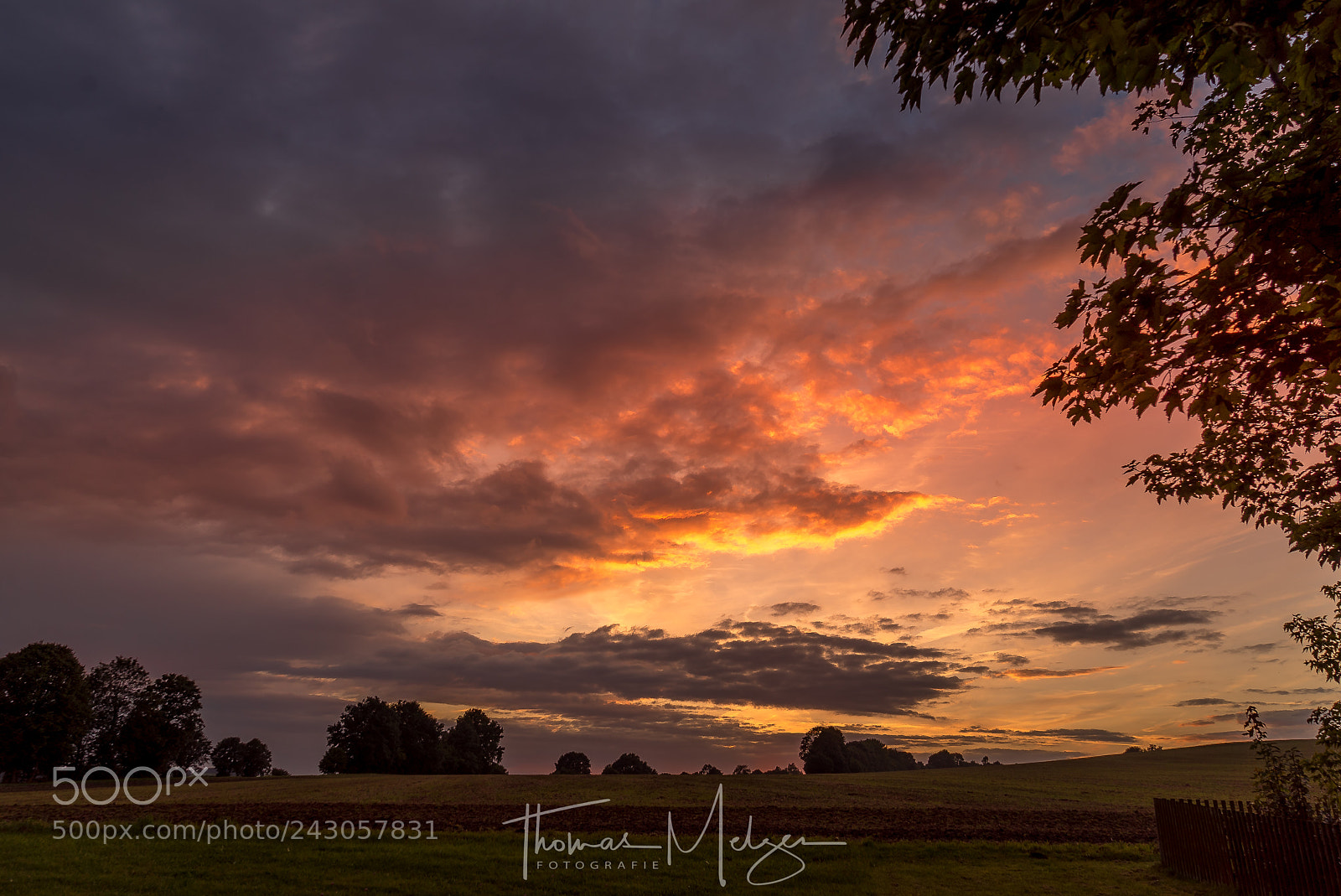 Sony a7S sample photo. Ore mountains photography
