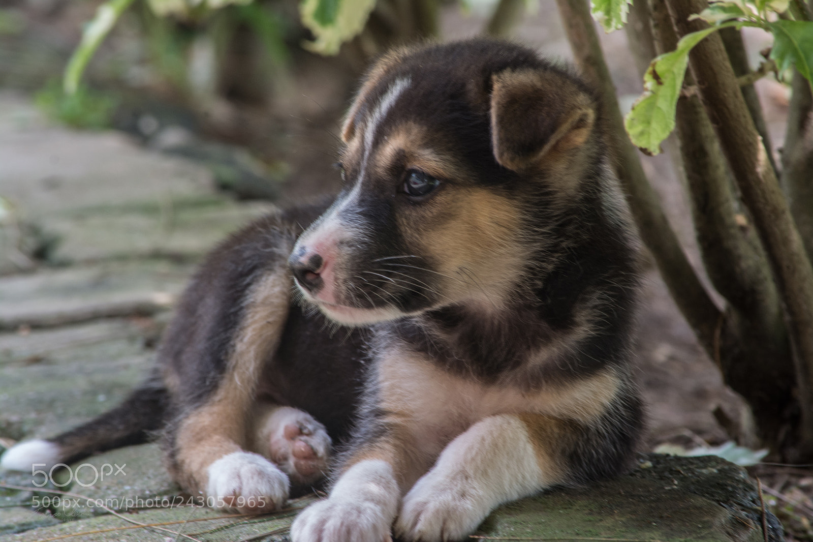 Nikon D7100 sample photo. Some photo shoots are photography