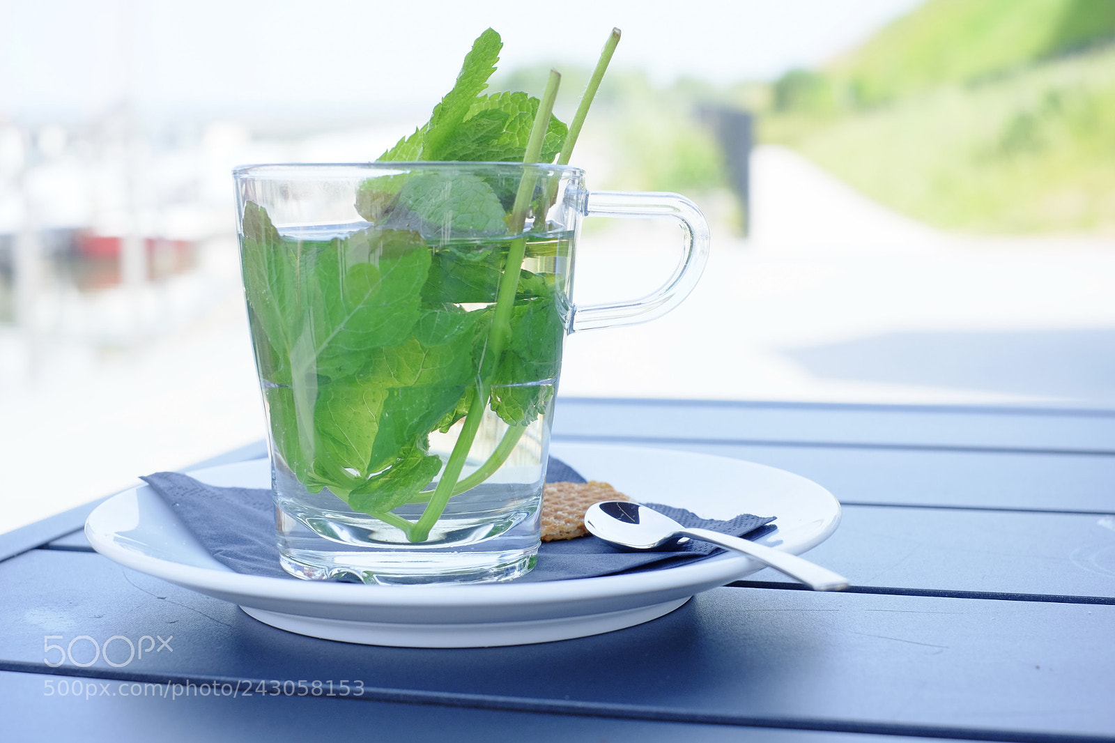 Fujifilm X-M1 sample photo. A fresh cup of photography