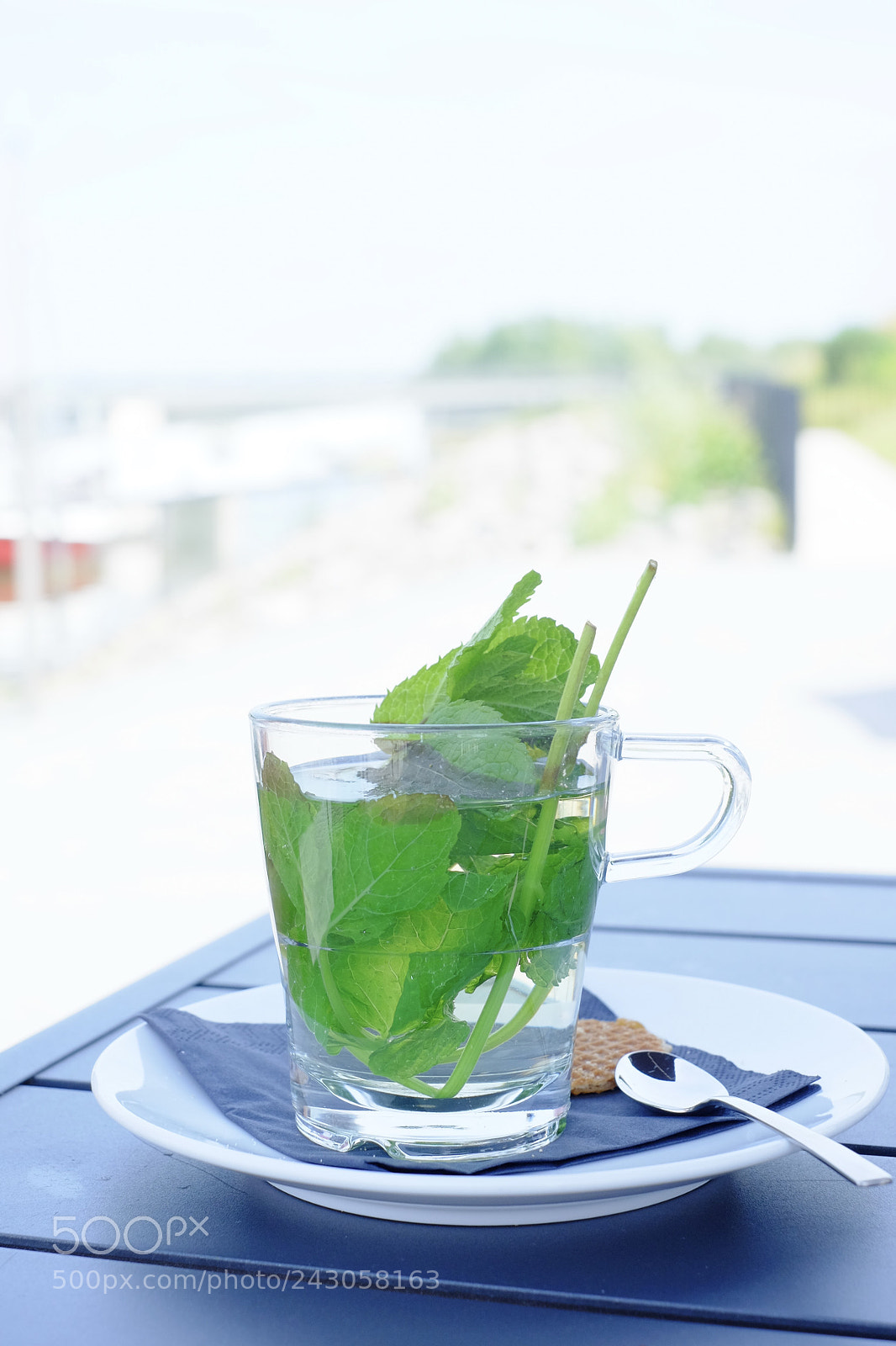 Fujifilm X-M1 sample photo. A fresh cup of photography