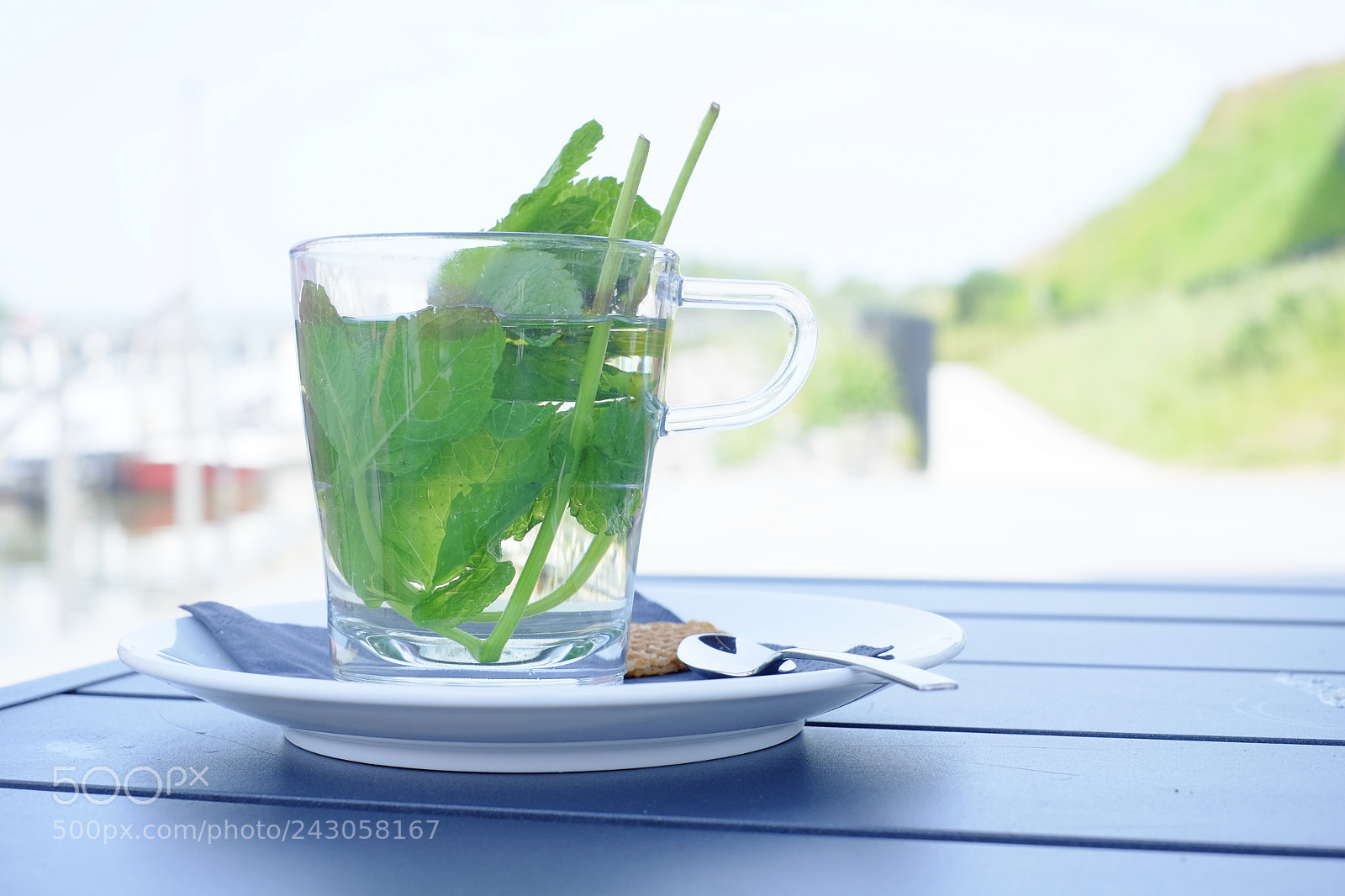 Fujifilm X-M1 sample photo. A fresh cup of photography