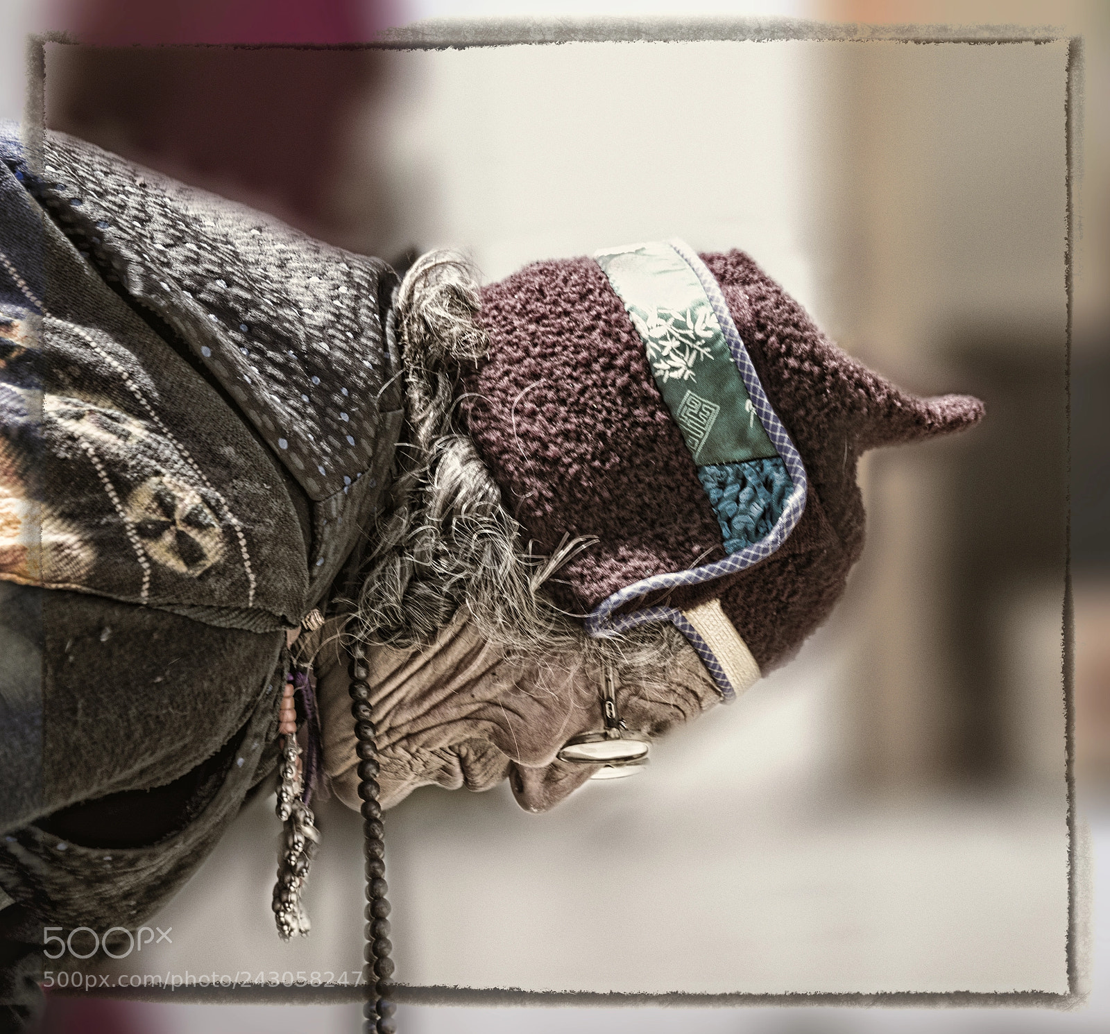 Nikon D810 sample photo. Prostration sani monastery, zanskar photography