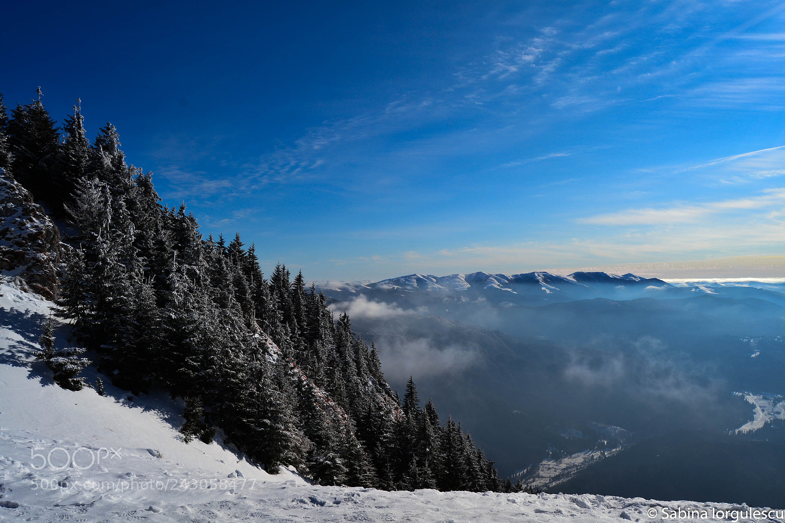 Nikon D3100 sample photo. Blue photography