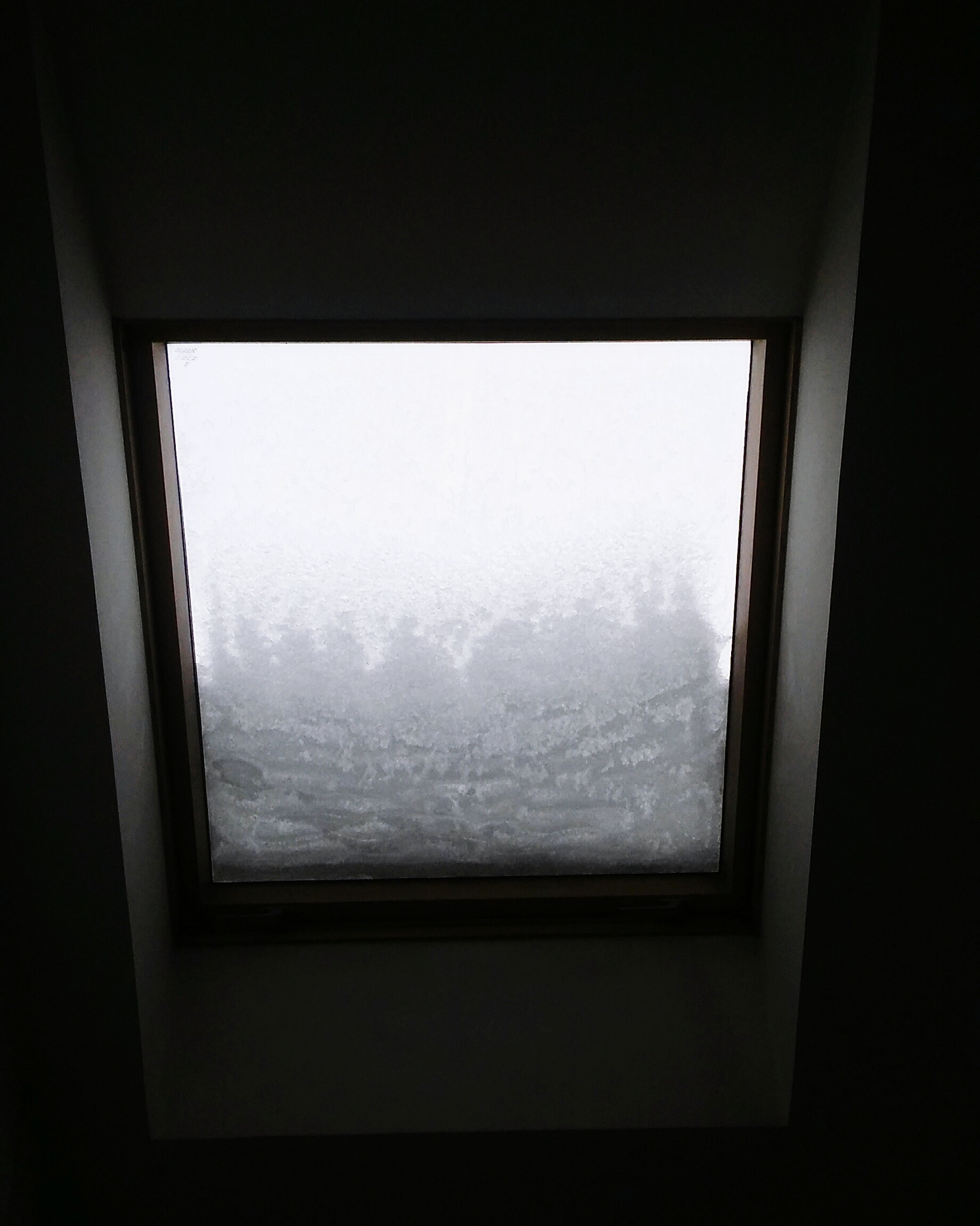 LG SPIRIT 4G LTE sample photo. My window photography