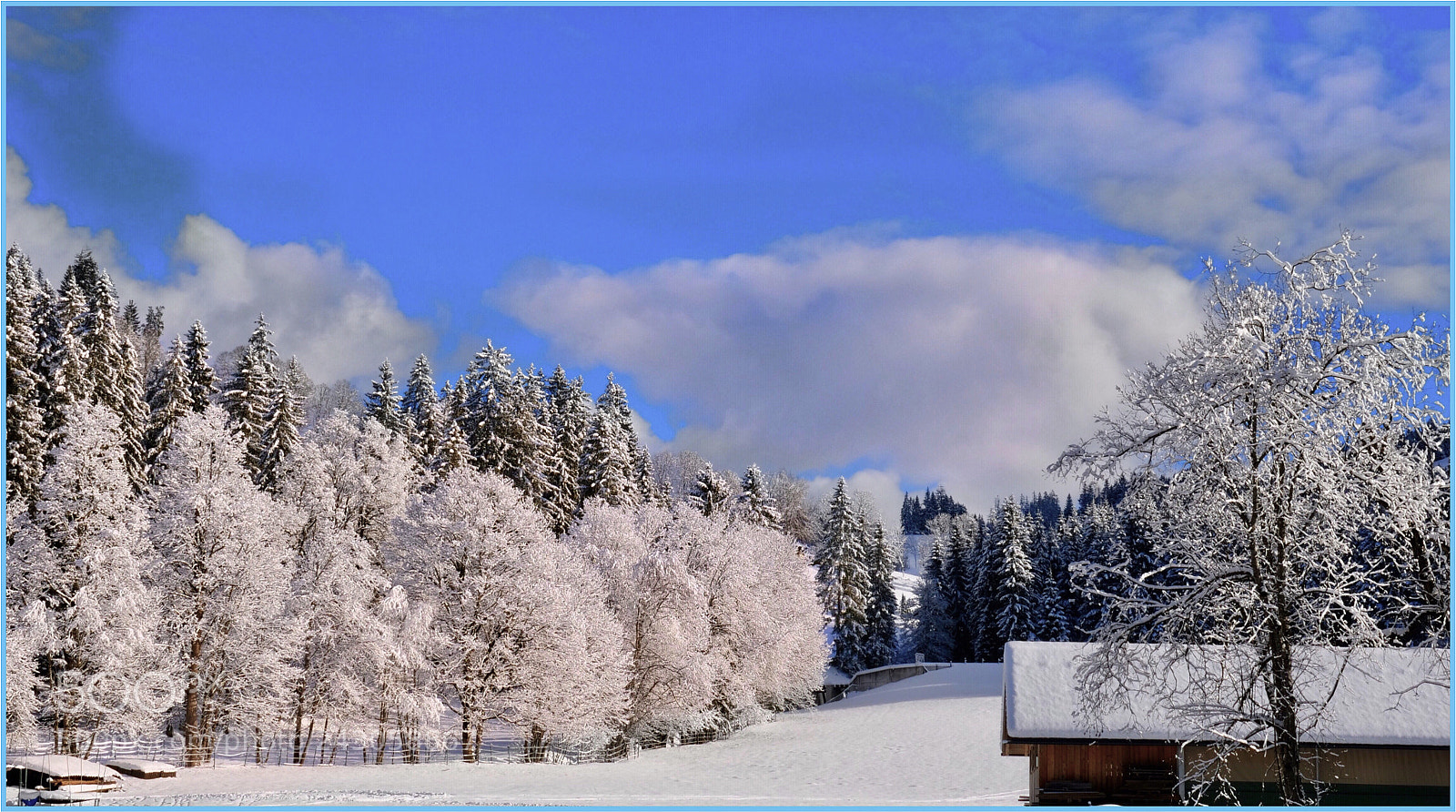 Panasonic Lumix DC-GH5 sample photo. Winter wonderland photography