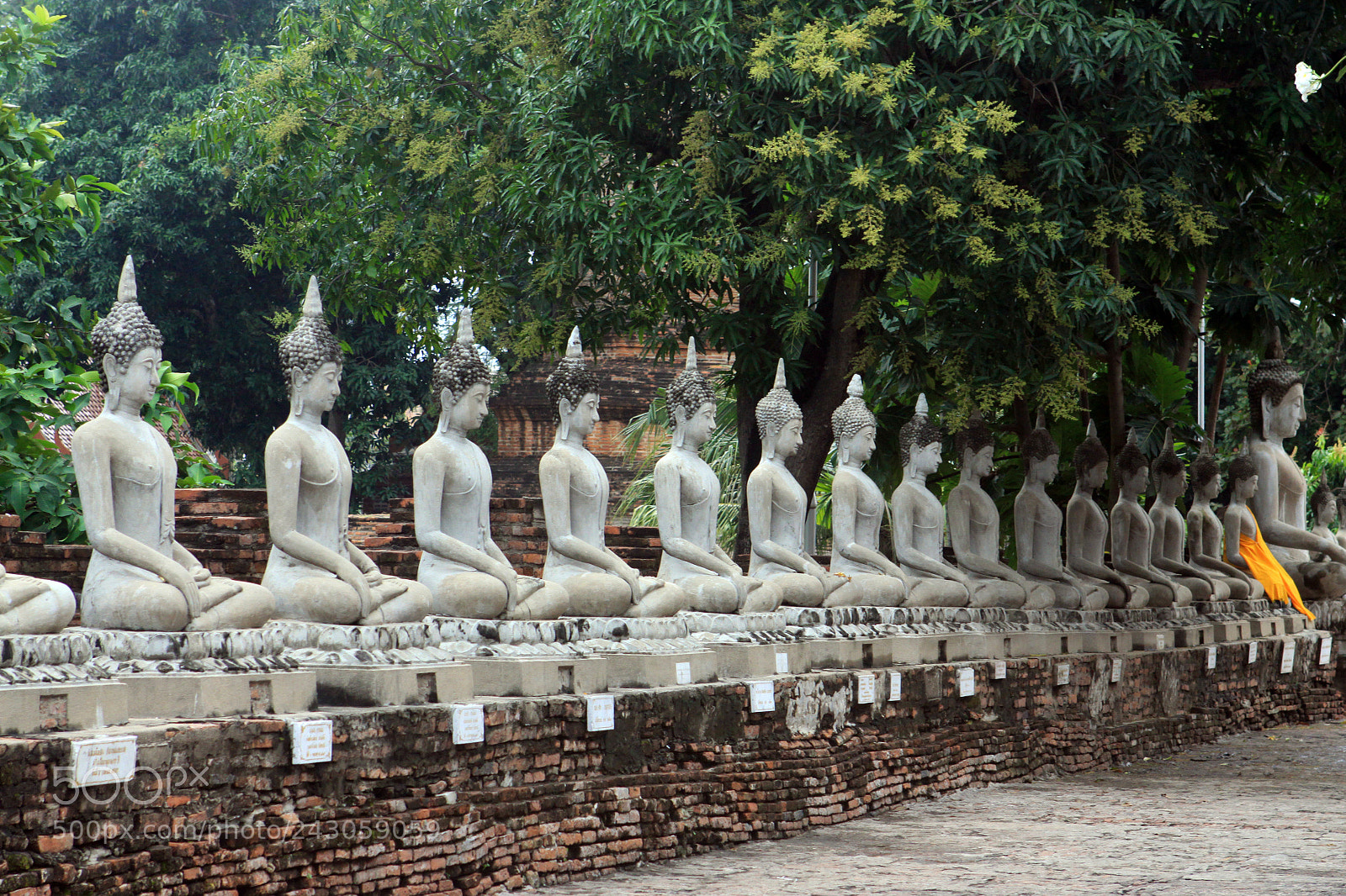 Canon EOS 50D sample photo. Wat phu khao thong photography