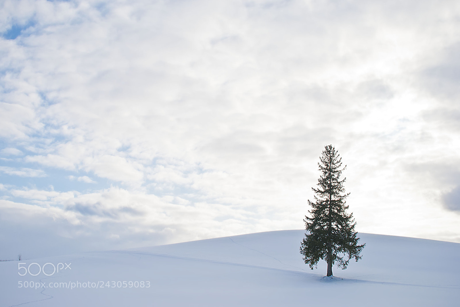 Nikon D80 sample photo. Biei, japan, hokkaido photography