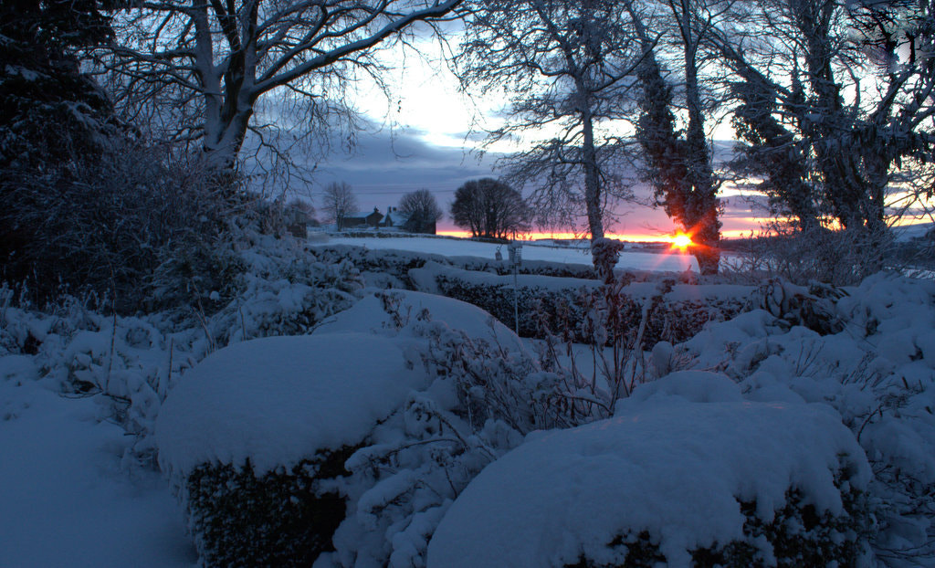 Canon EF-S 18-55mm F3.5-5.6 IS sample photo. Snowy garden sunrise photography