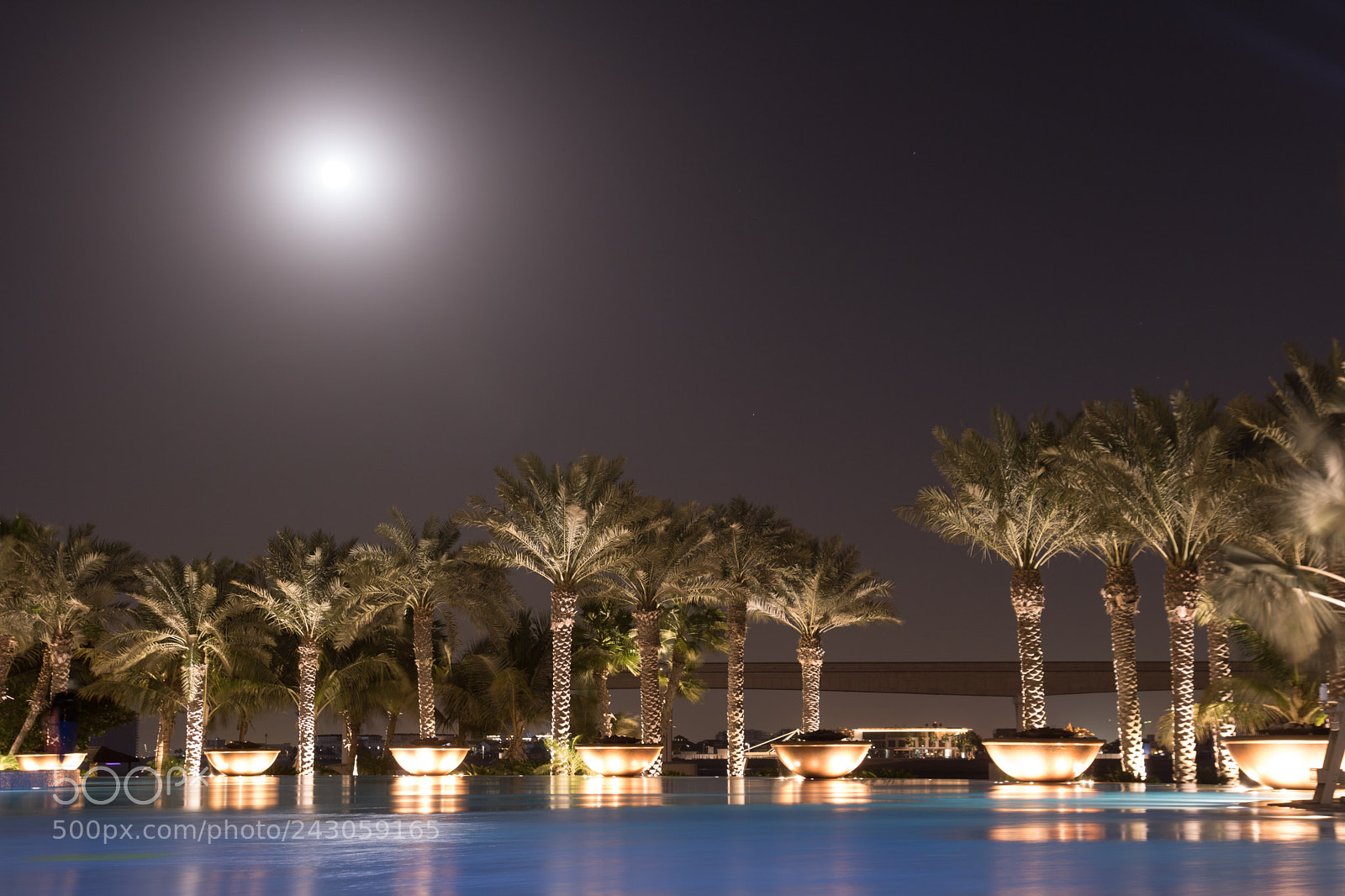 Canon EOS 760D (EOS Rebel T6s / EOS 8000D) sample photo. Create your own paradise photography