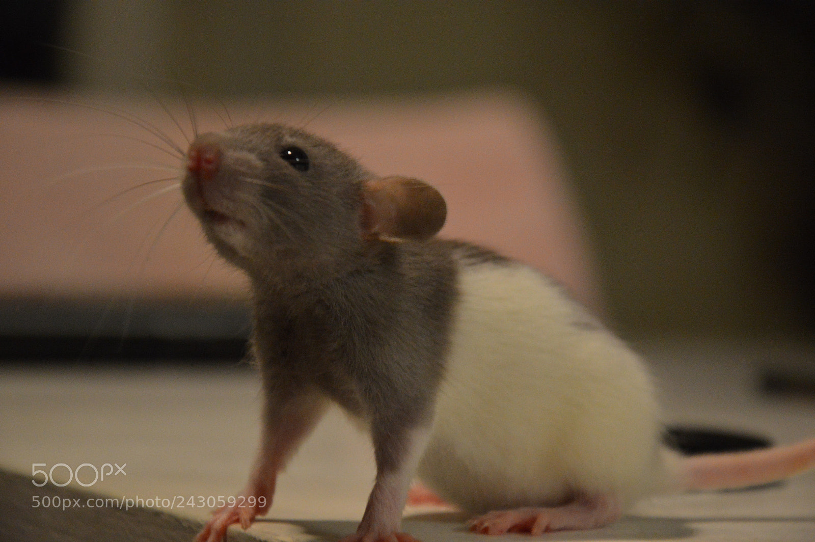 Nikon D3200 sample photo. Untitled photography