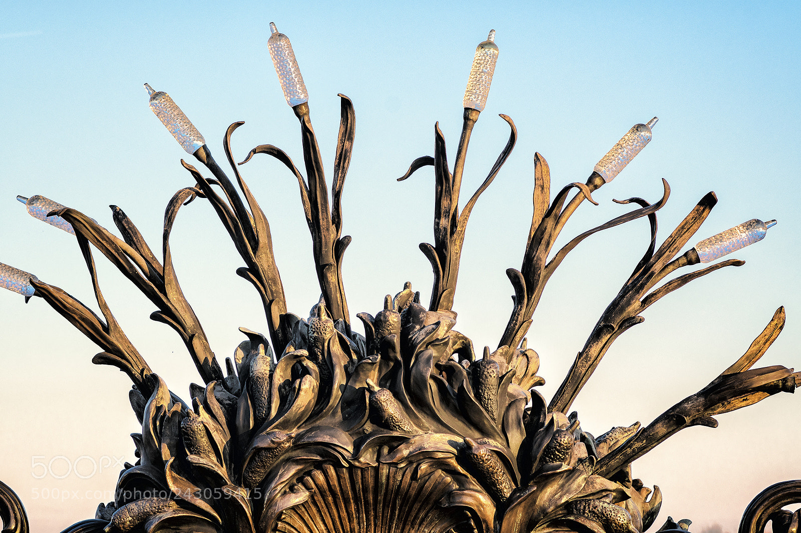 Nikon D500 sample photo. Pont alexandre iii photography