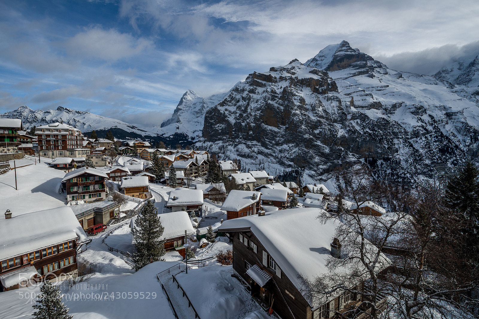 Nikon D800 sample photo. Mürren photography