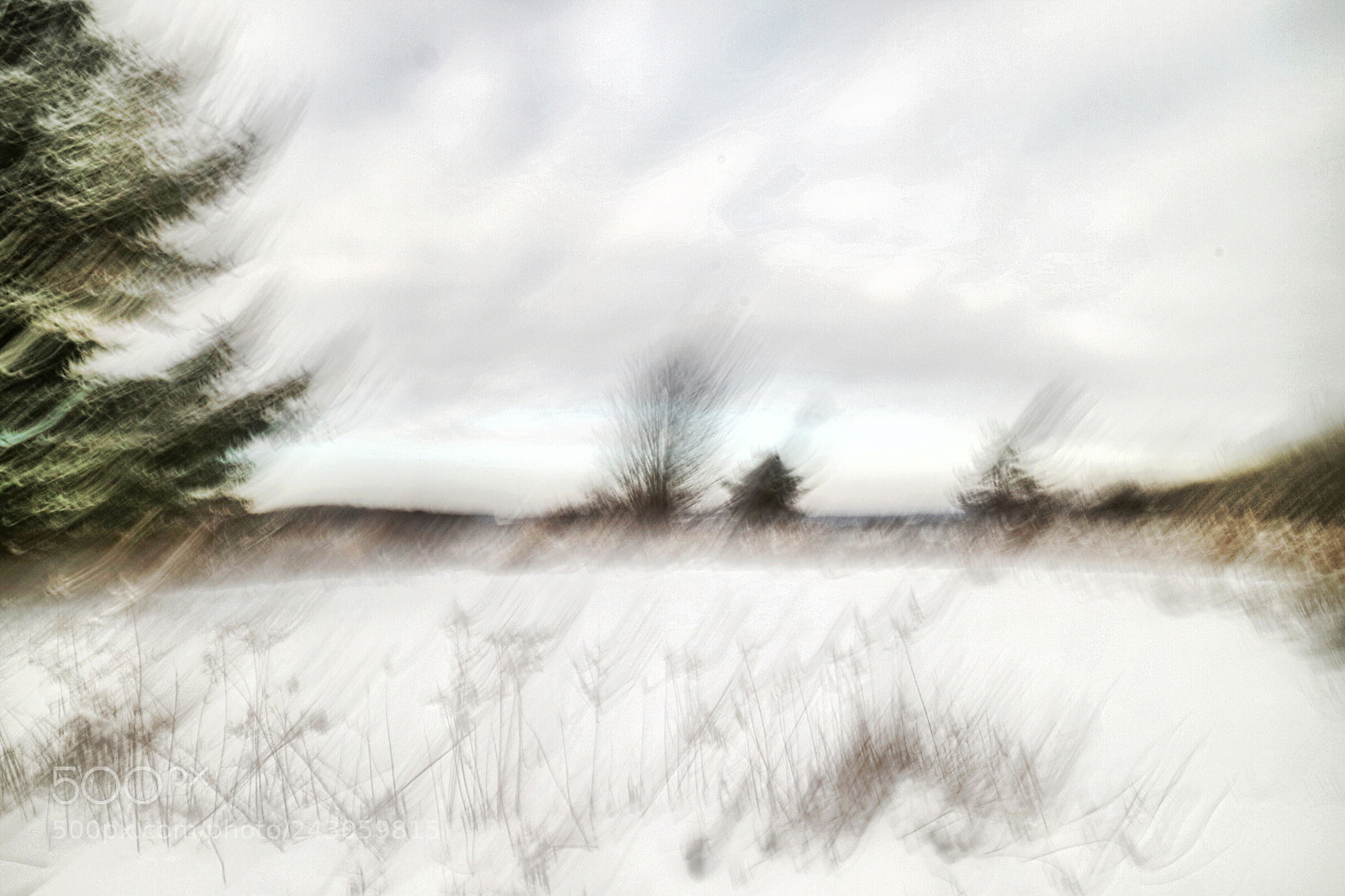 Canon EOS M3 sample photo. Untitled photography