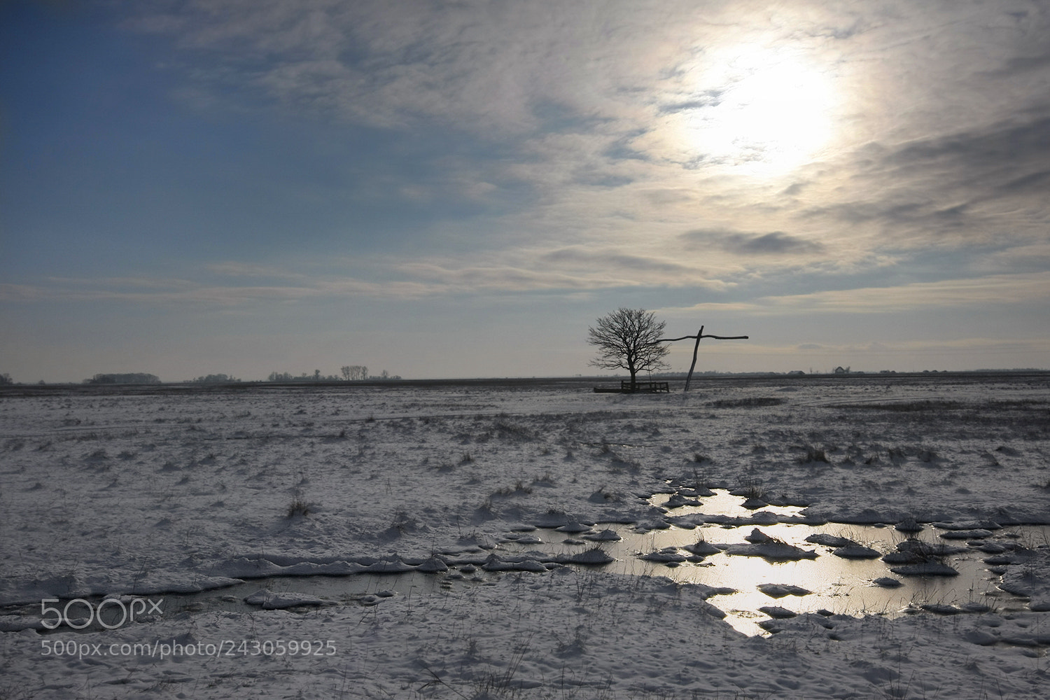 Canon EOS 40D sample photo. Shining photography